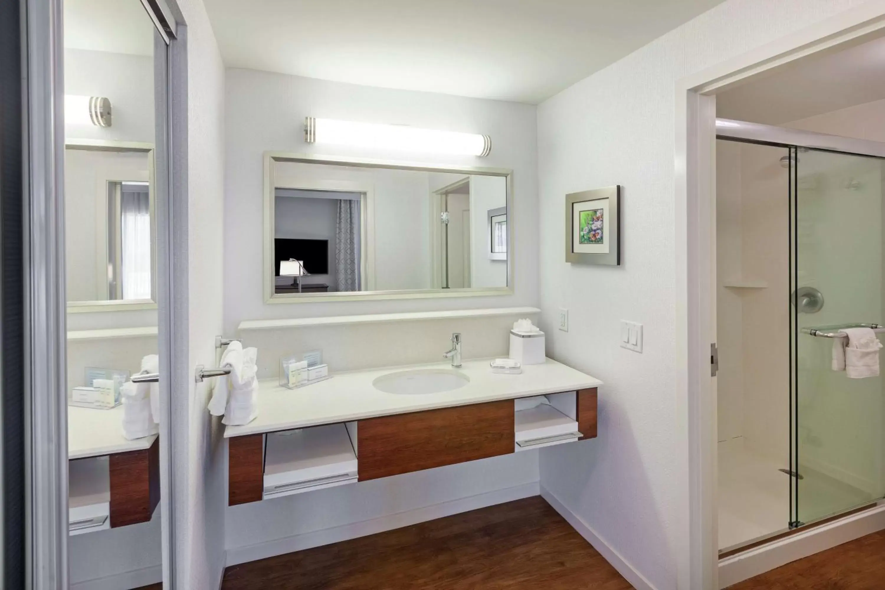 Bathroom in Hampton Inn & Suites Houston North IAH, TX