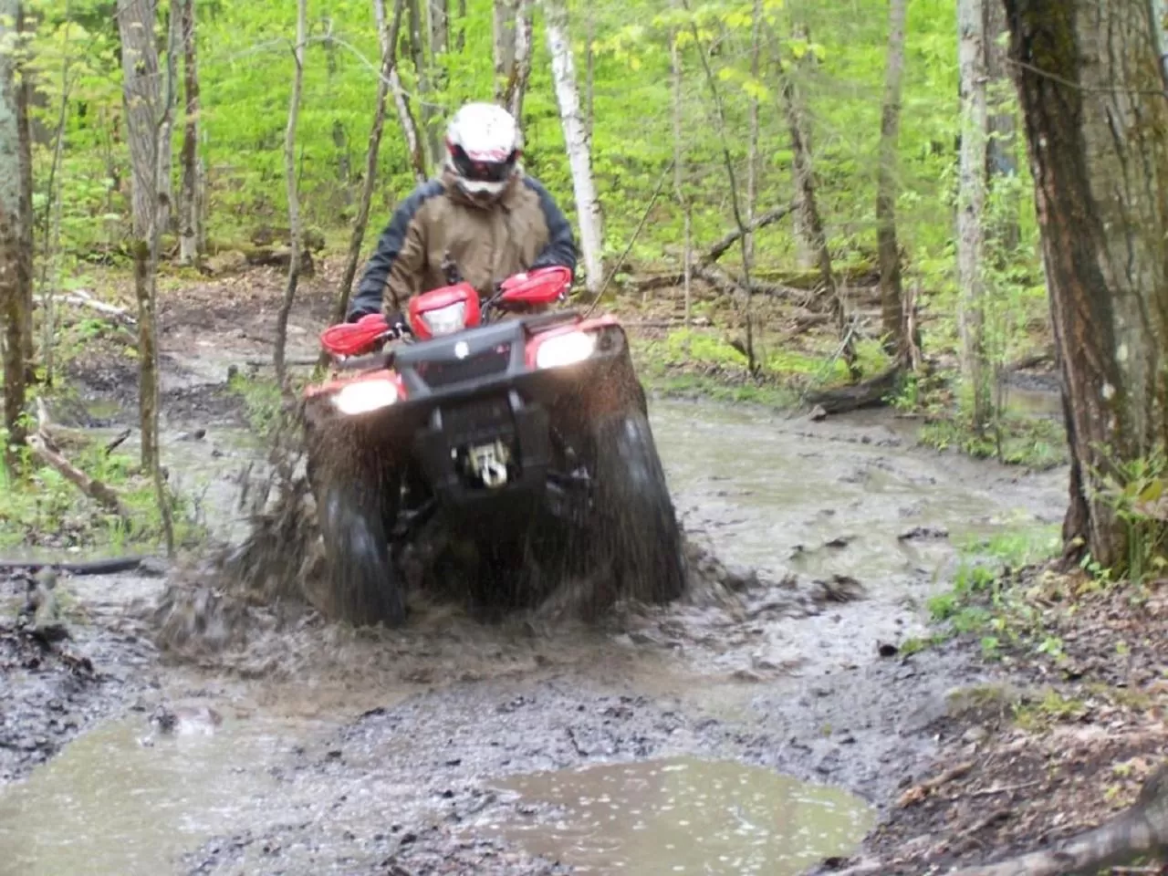 Activities in Drummond Island Resort