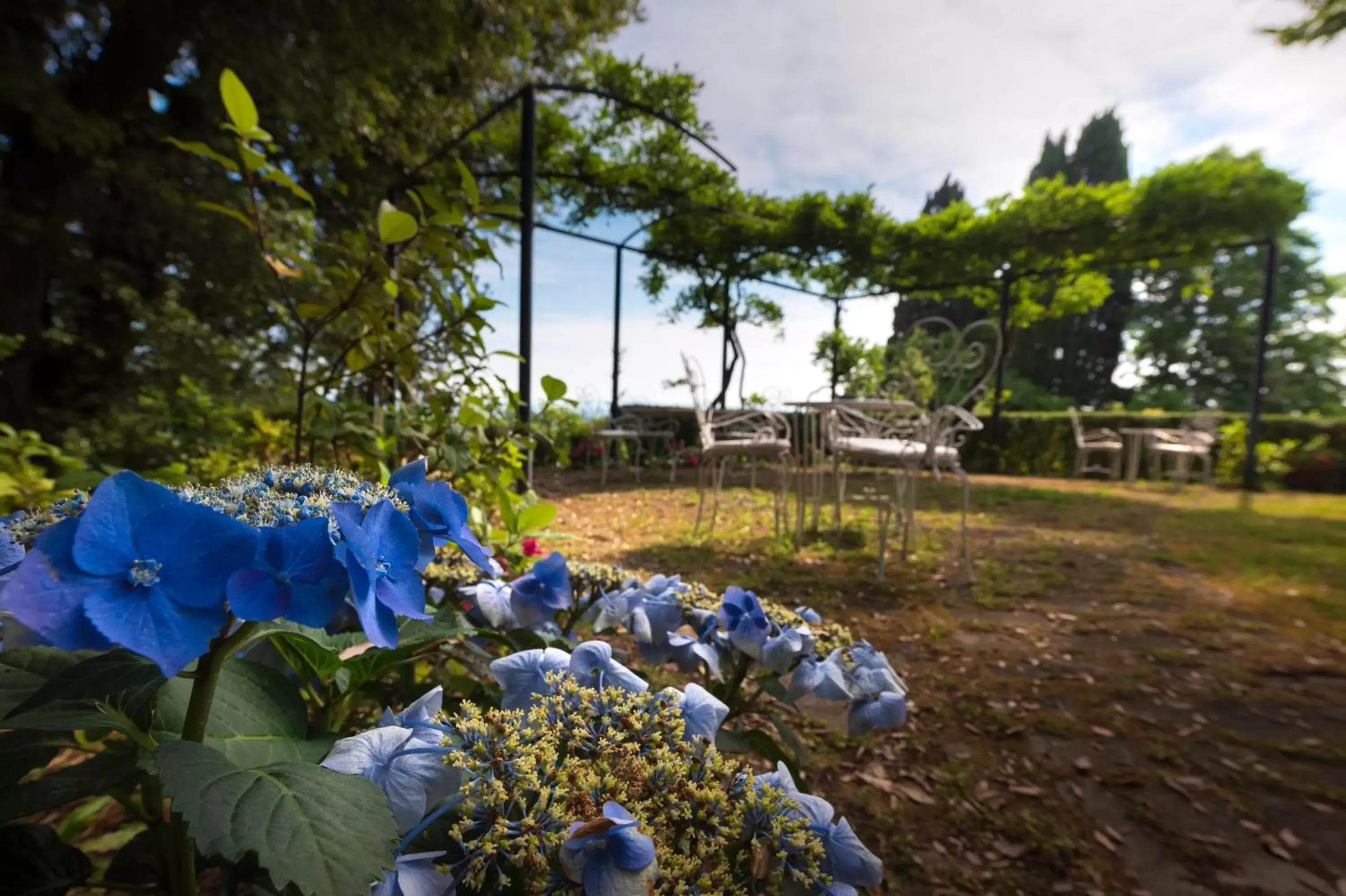 Garden in Villa Scacciapensieri Boutique Hotel