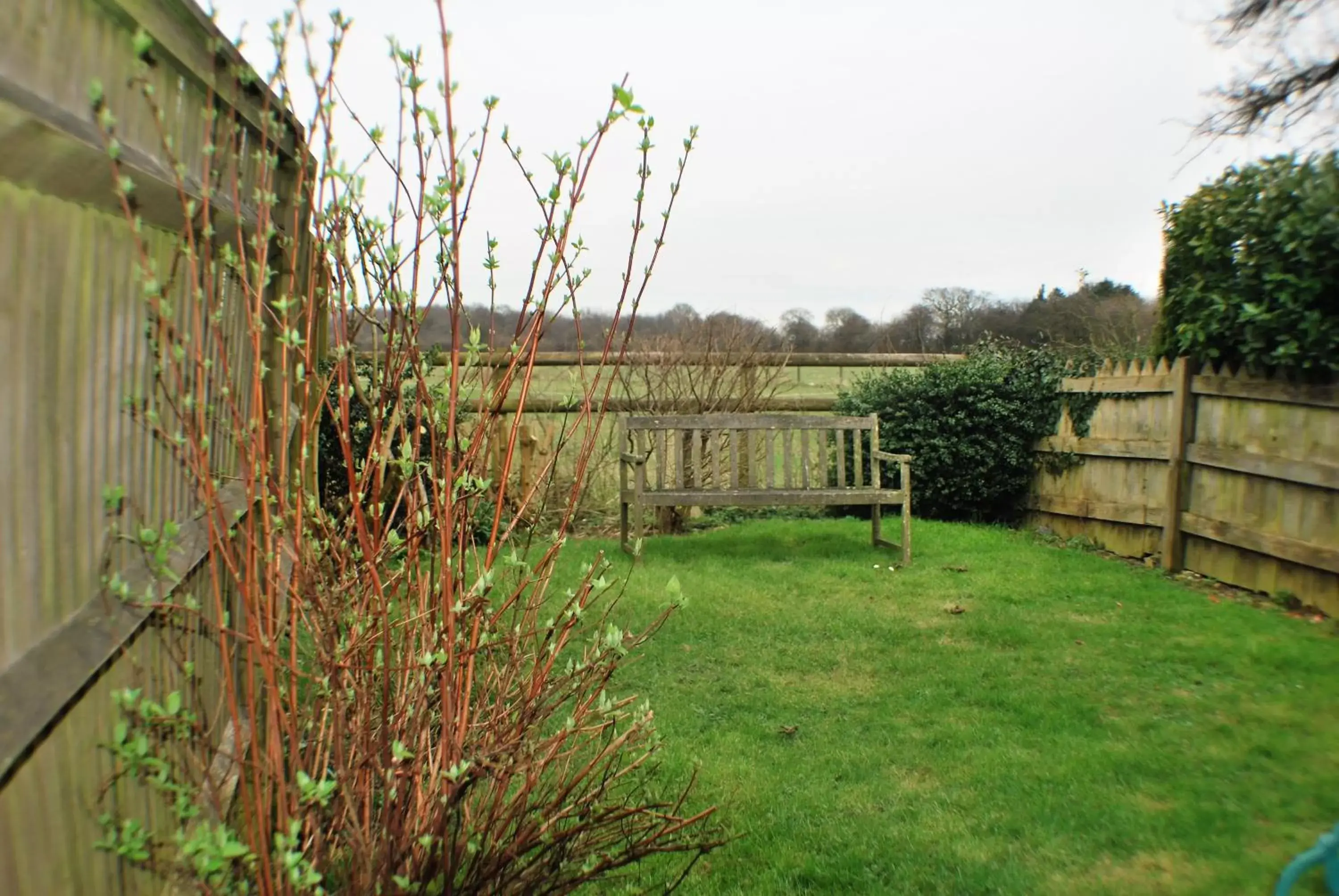 Garden in The Bowl Inn