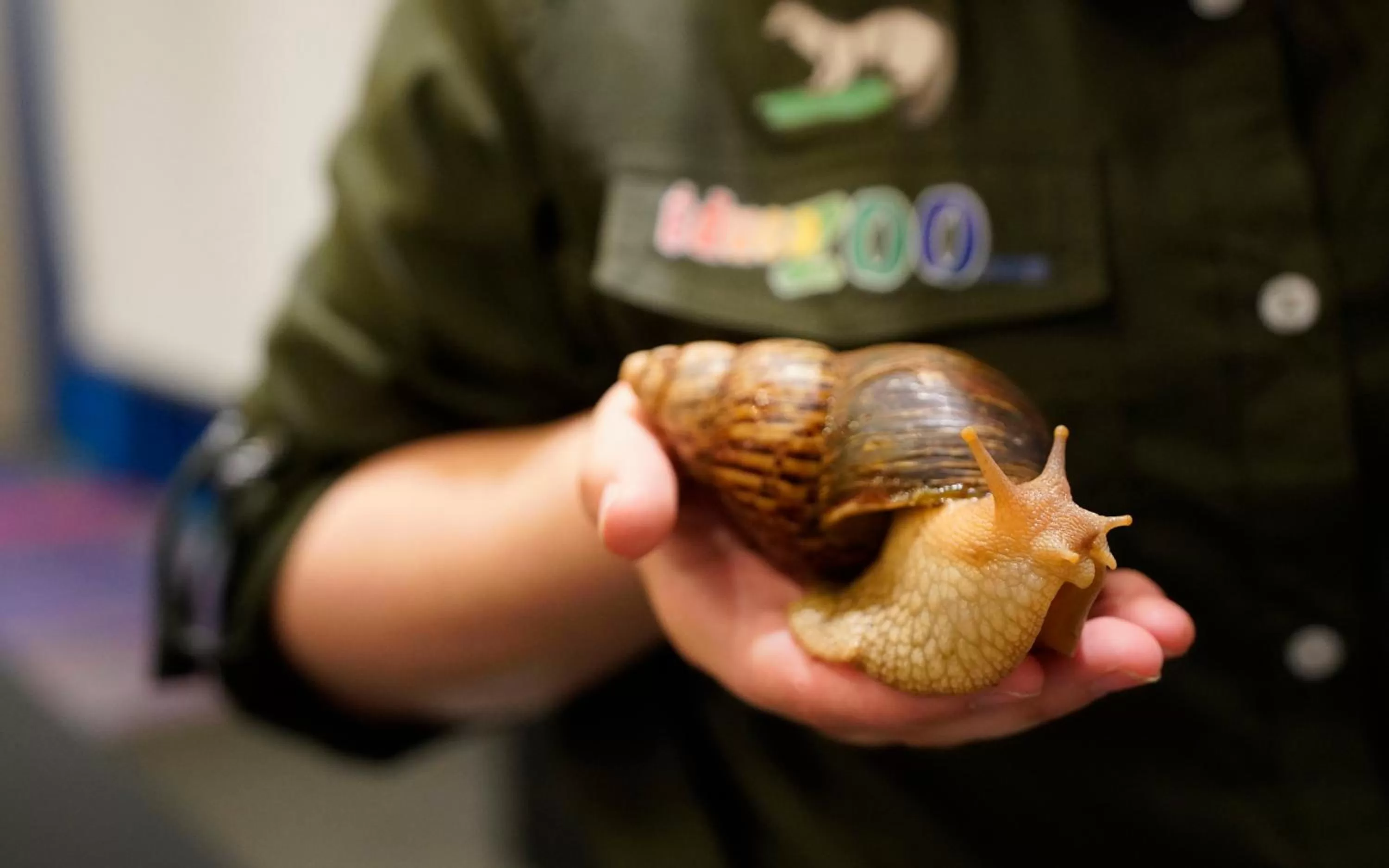 Activities in L'Hôtel Québec par JARO