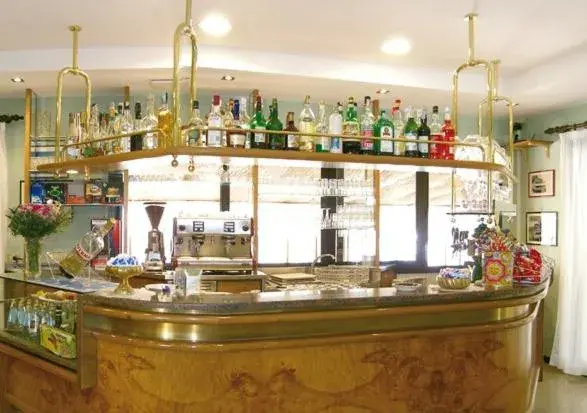 Lounge or bar, Lounge/Bar in Albergo Ridente