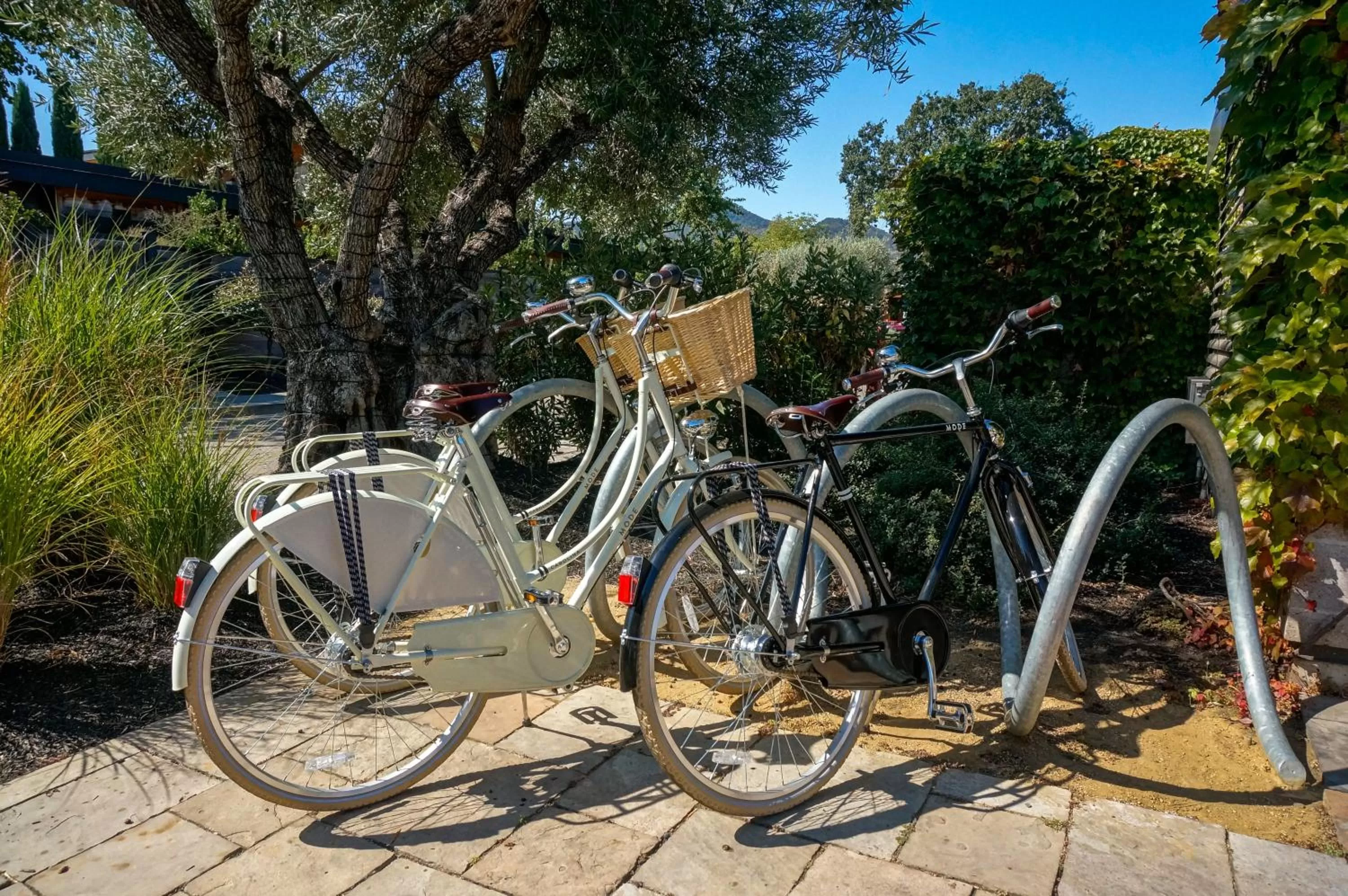 Day in Bardessono Hotel and Spa