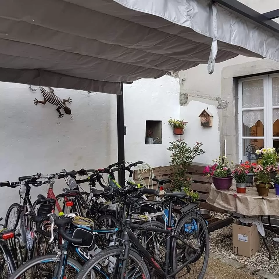 Cycling in The LightHouse Chambres à louer