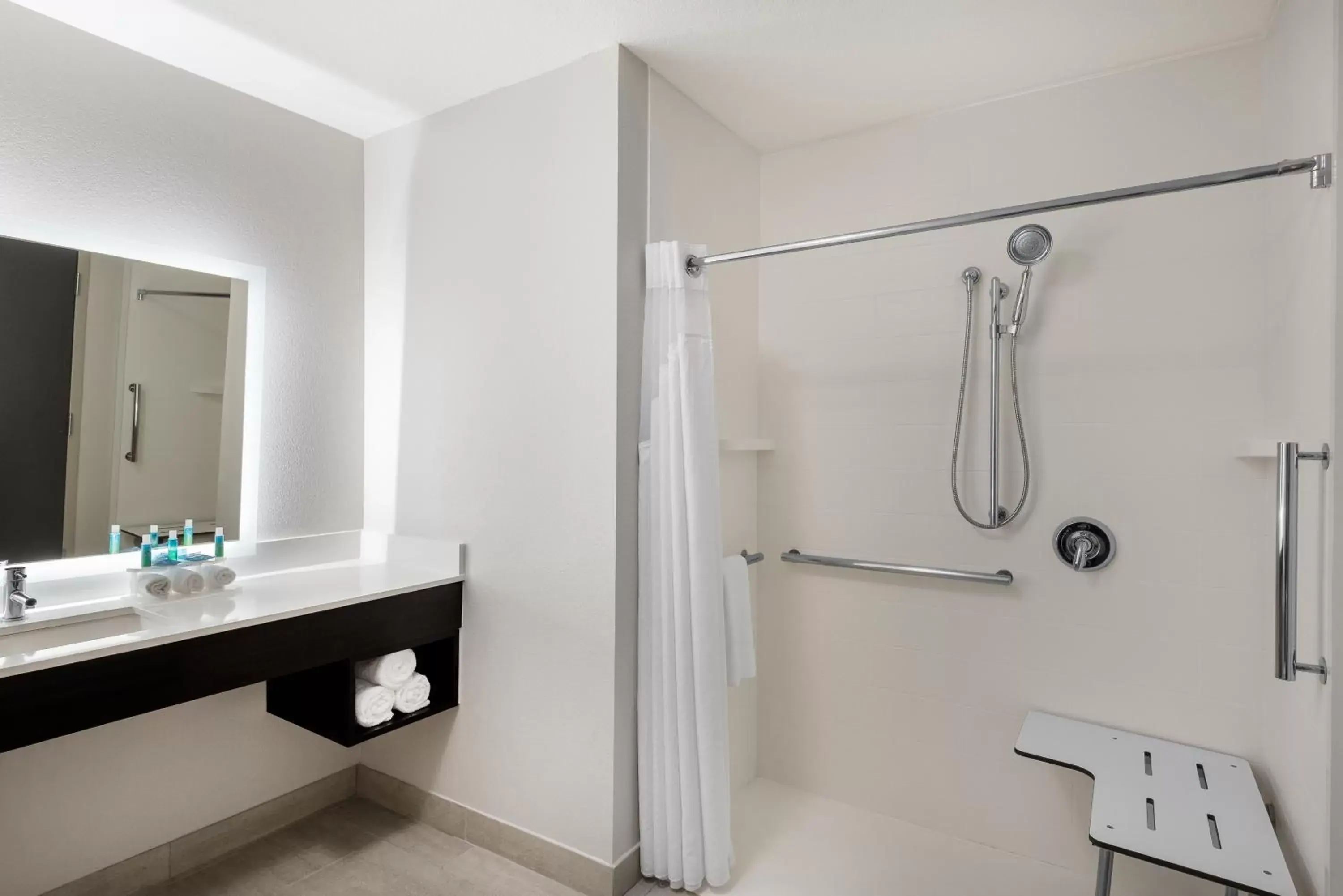Shower, Bathroom in Holiday Inn Express & Suites Lakeland South, an IHG Hotel