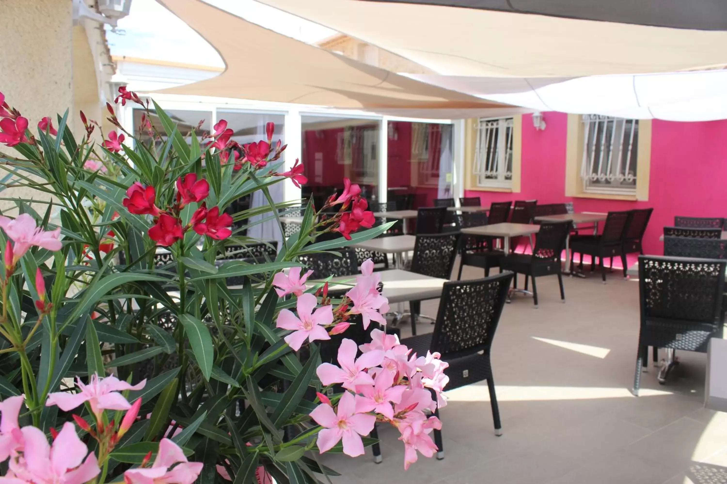 Patio, Restaurant/Places to Eat in Hotel Saint Germain