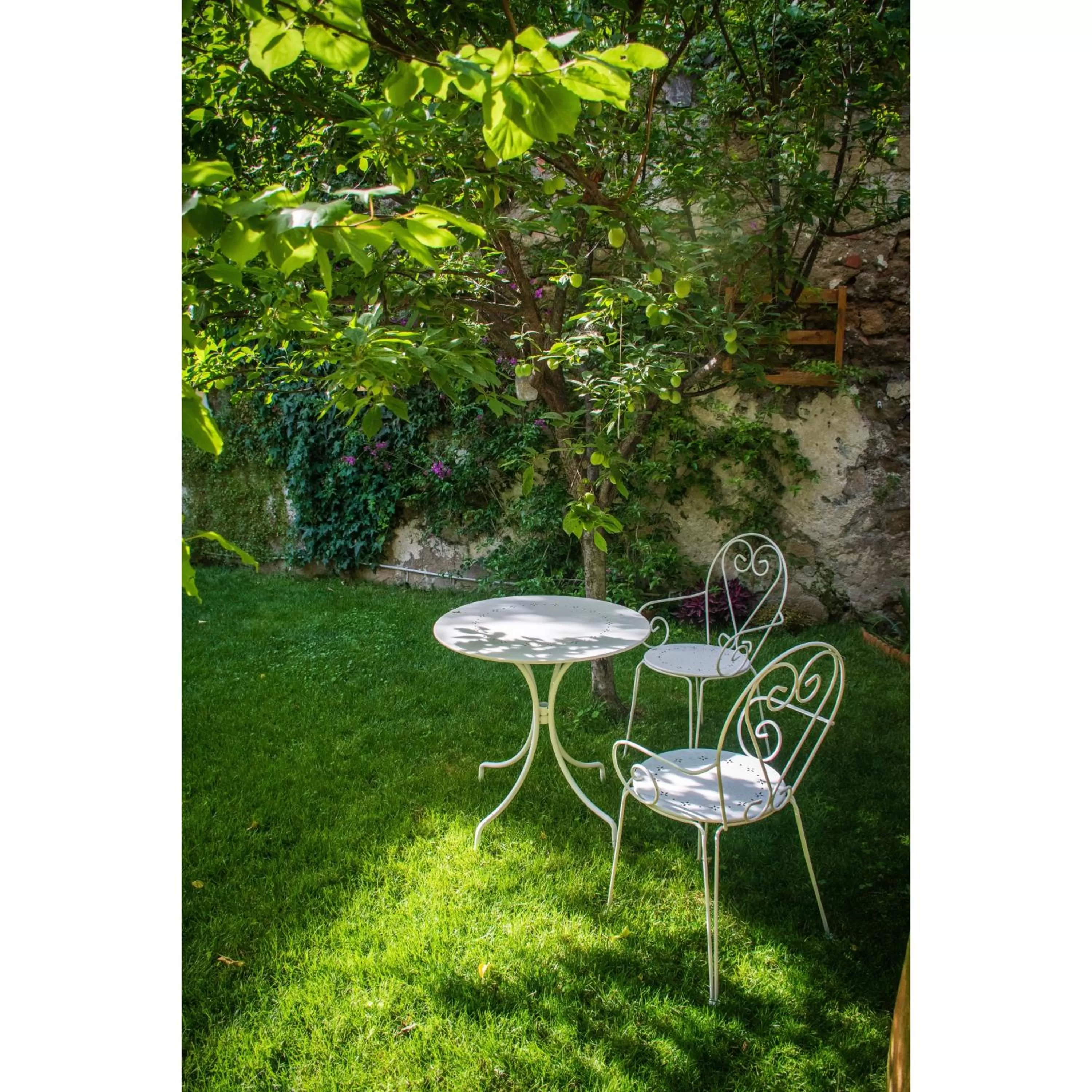 Garden in Casa Vayu - Rooms & Garden
