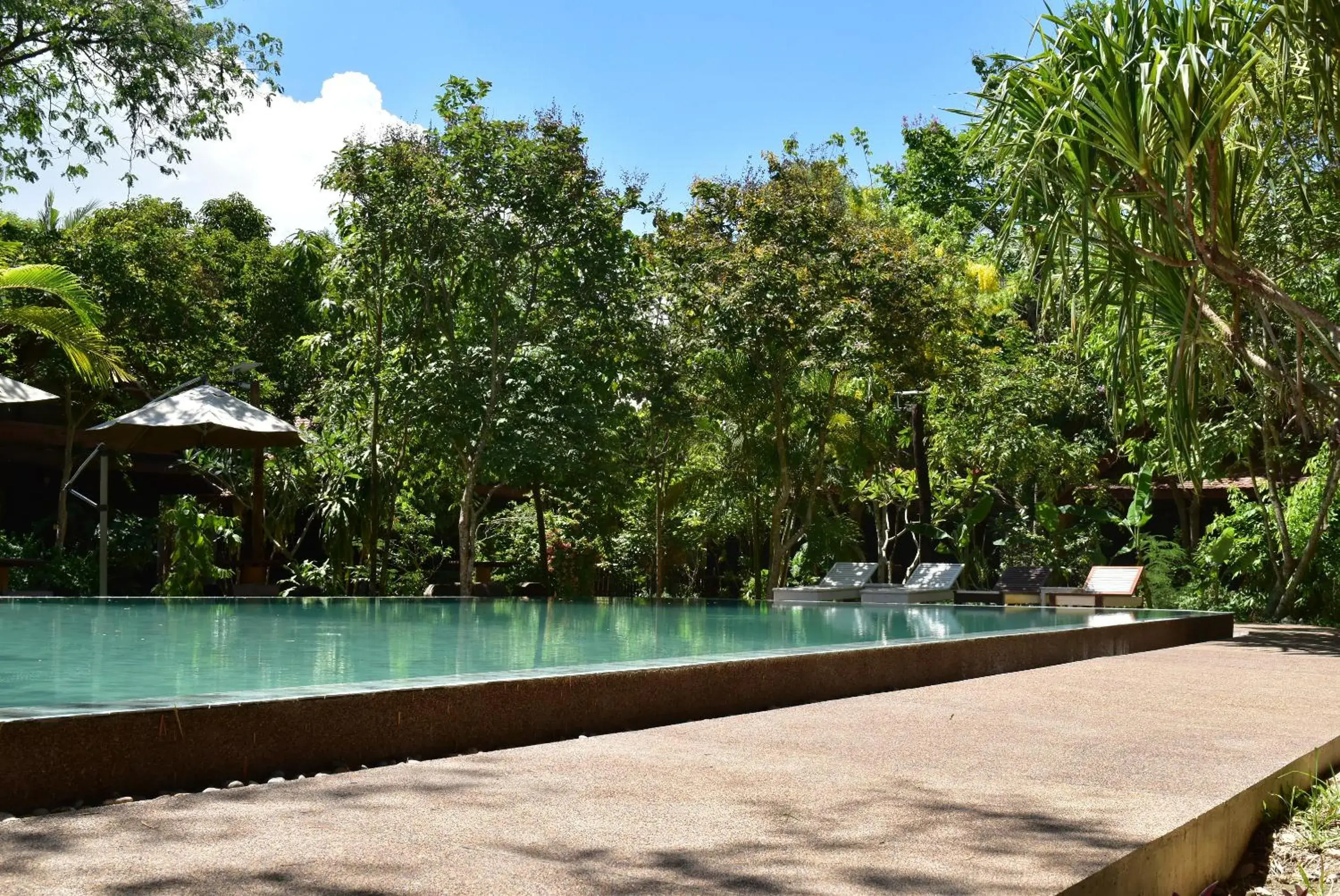 Garden, Swimming Pool in Palm Village Resort & Spa