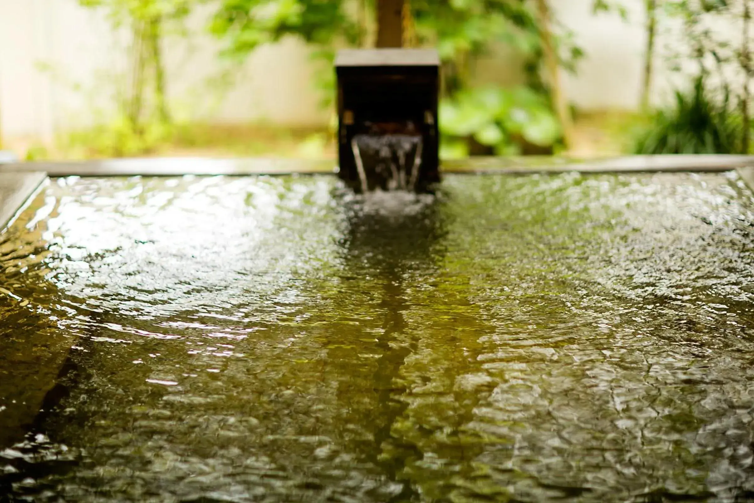 Hot Spring Bath, Swimming Pool in Ryokan Nishi-no-Miyabi Tokiwa