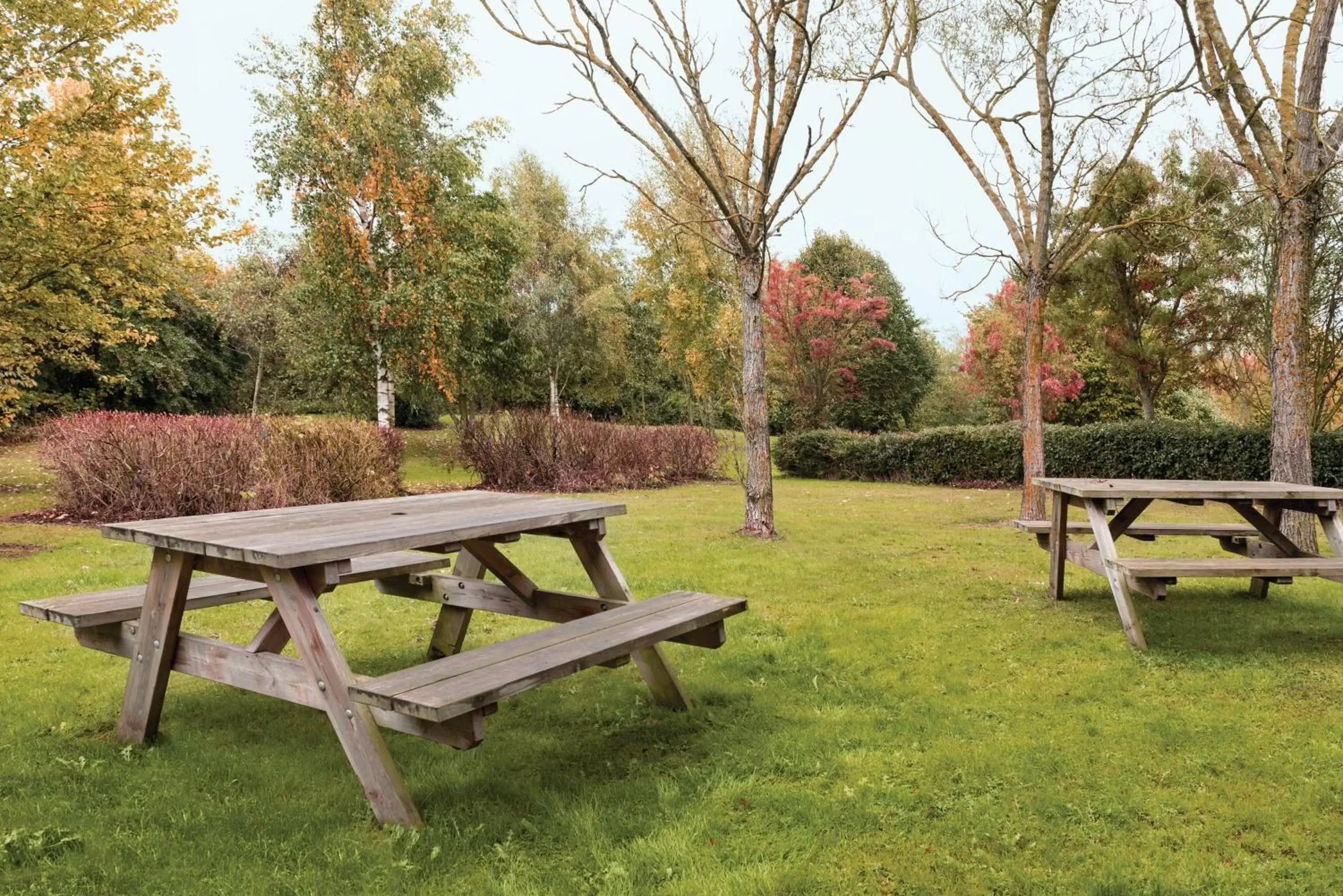 Garden in Days Inn by Wyndham Donington