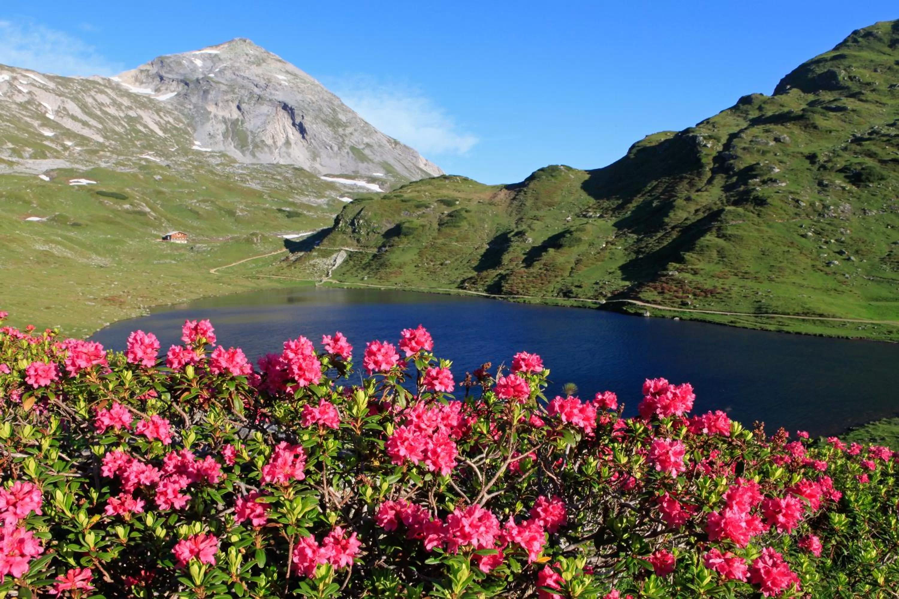 Hiking in Hotel Zum Jungen Römer