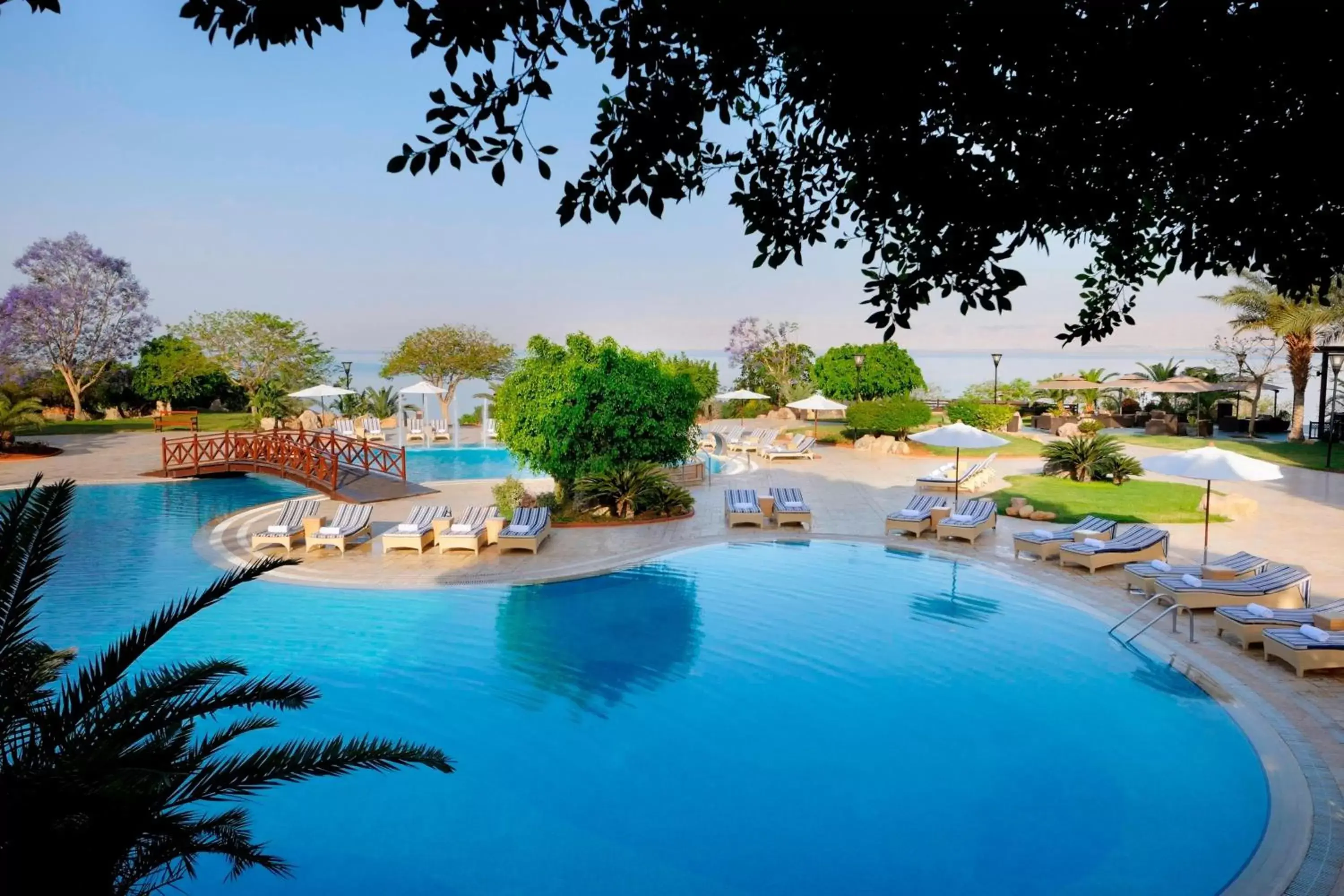 Swimming Pool in Dead Sea Marriott Resort & Spa