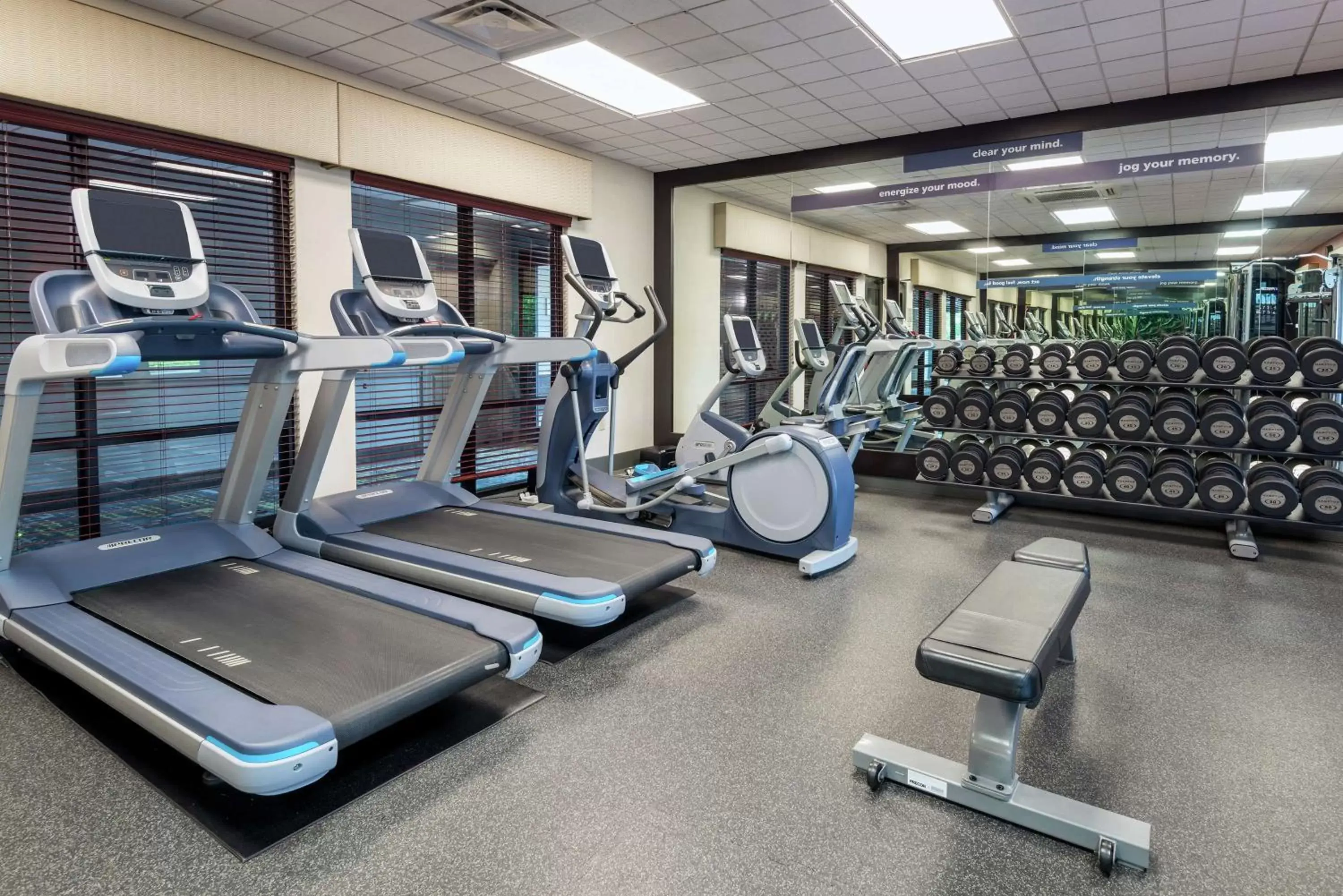 Fitness centre/facilities, Fitness Center/Facilities in Hampton Inn Springfield South Enfield