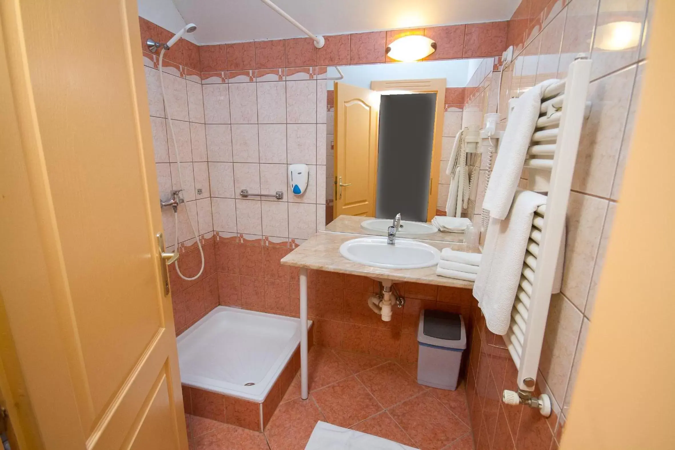 Shower, Bathroom in Platan Hotel