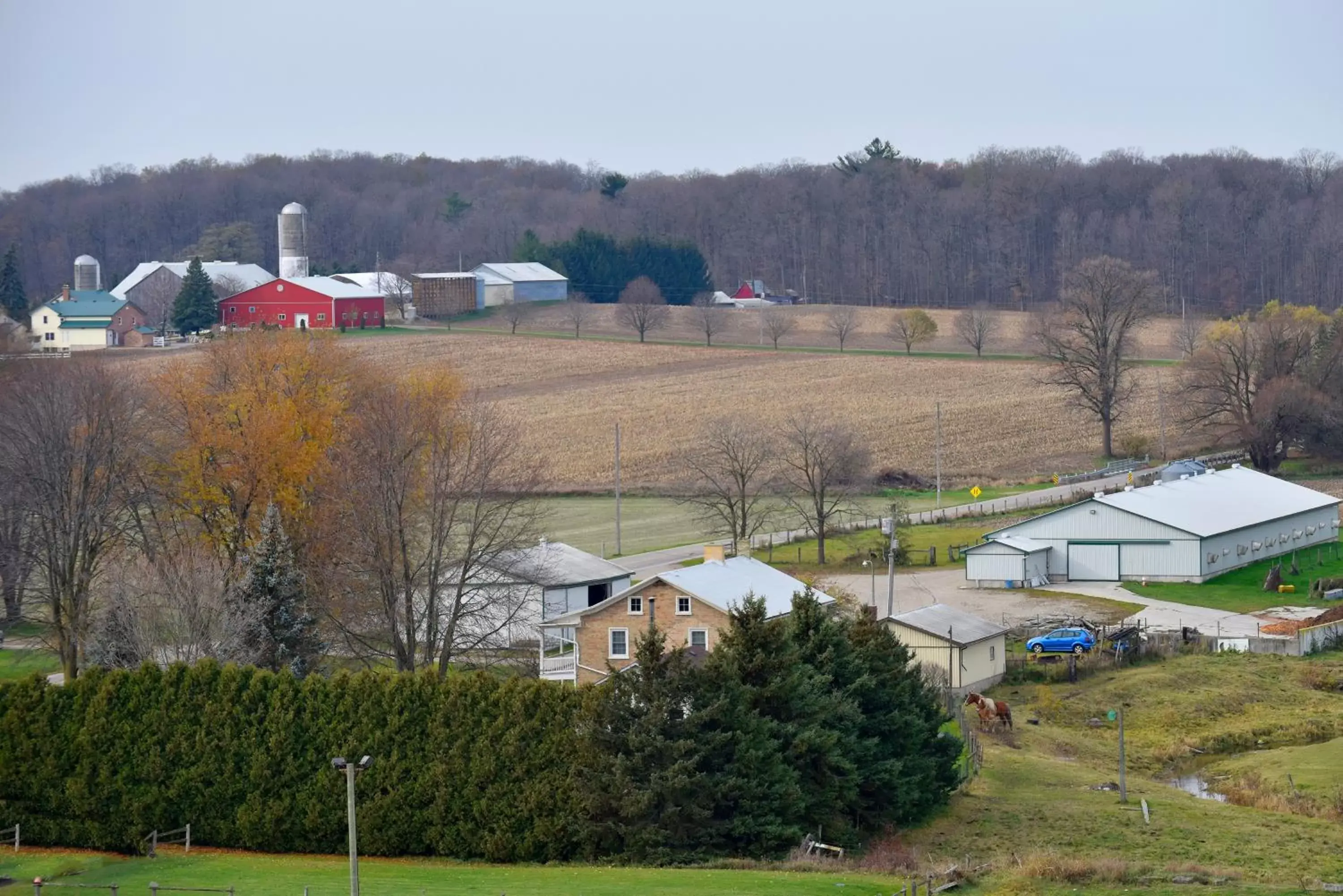 View (from property/room) in Staybridge Suites - Waterloo - St. Jacobs Area