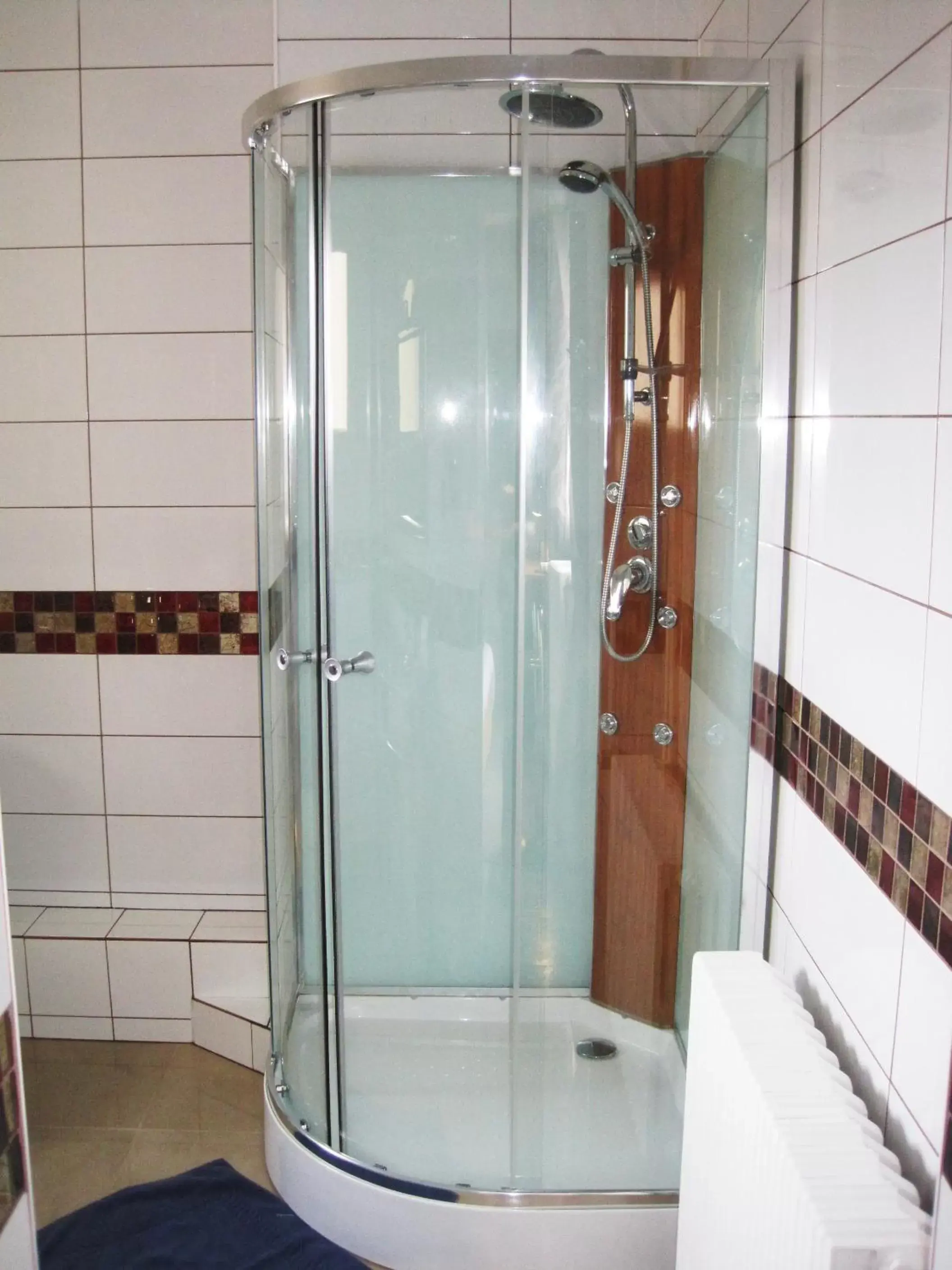 Shower, Bathroom in Hotel Restaurant Rive Gauche