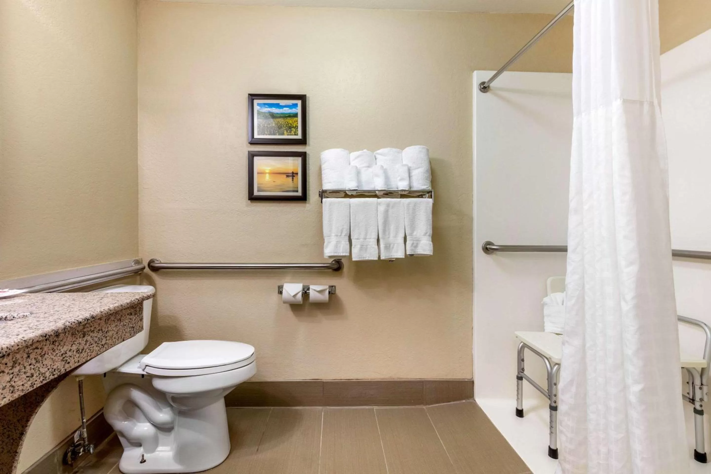 Bathroom in Comfort Inn Lenoir City-Knoxville