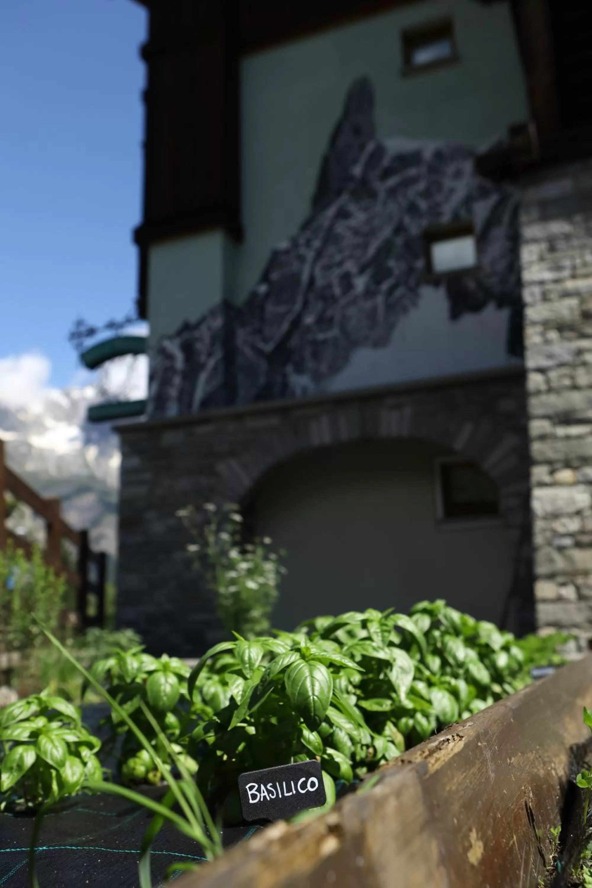 Garden in Hotel Walser Courmayeur