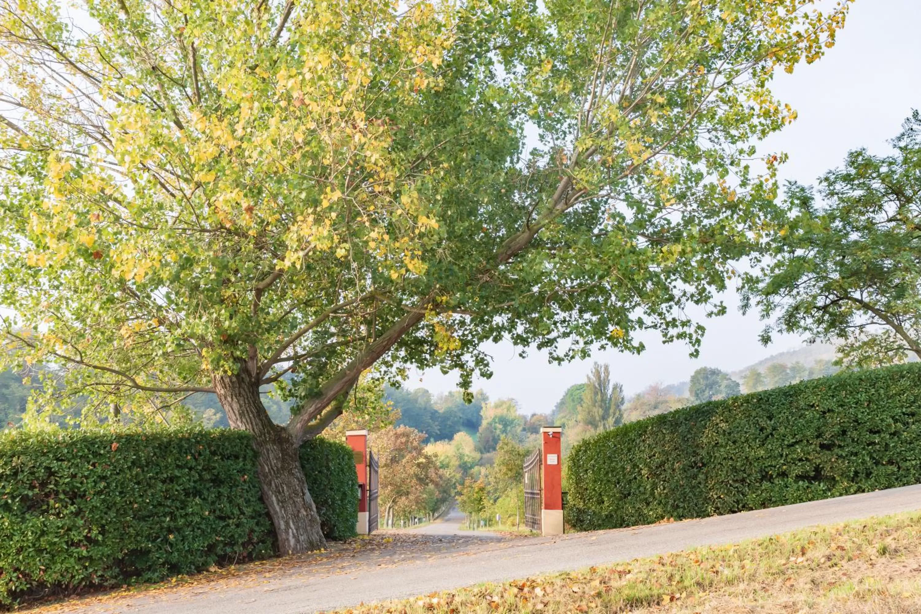 BolognaRoomscom - Ca' Palazzo