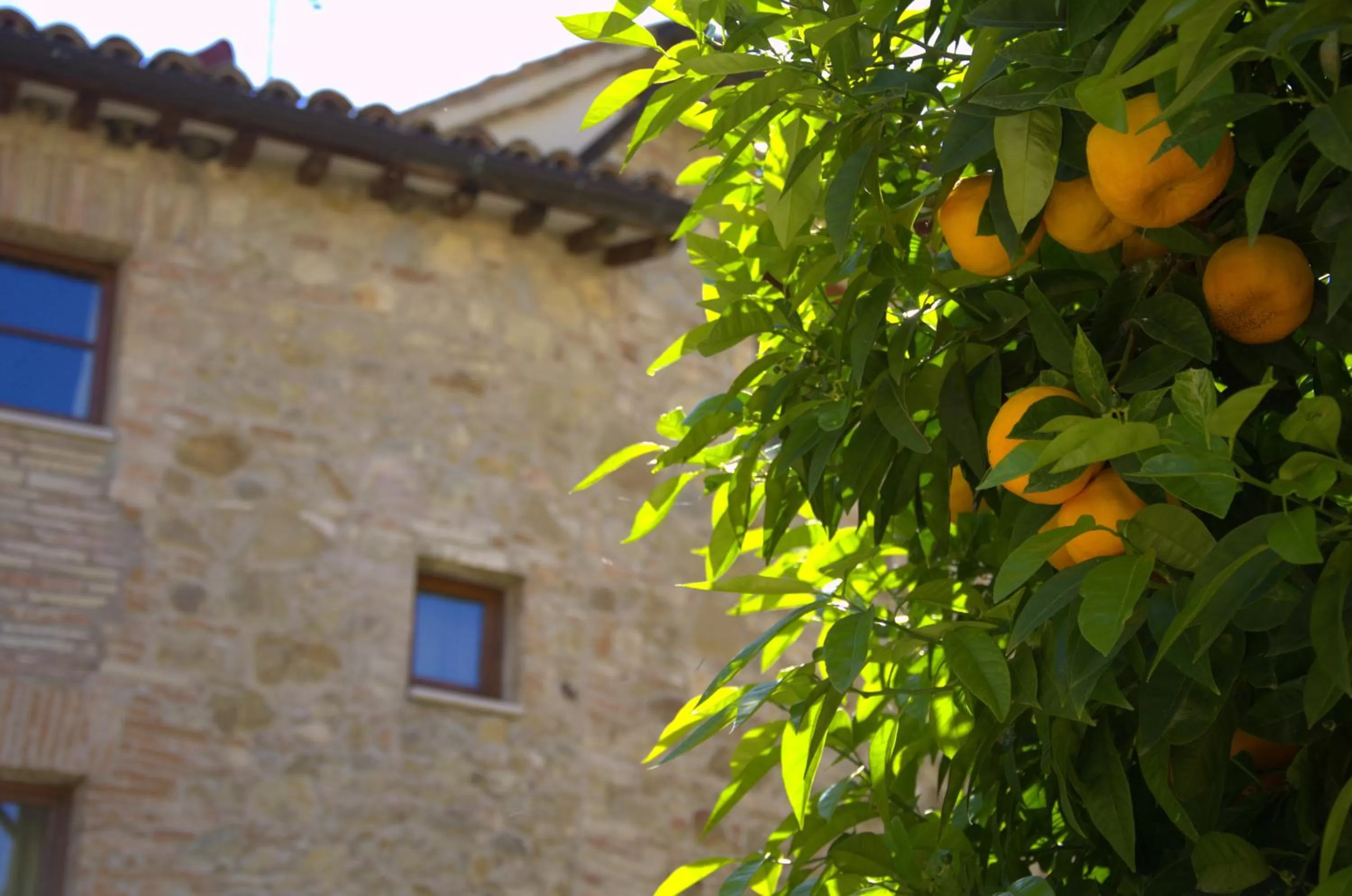 Grand Relais Laurenti