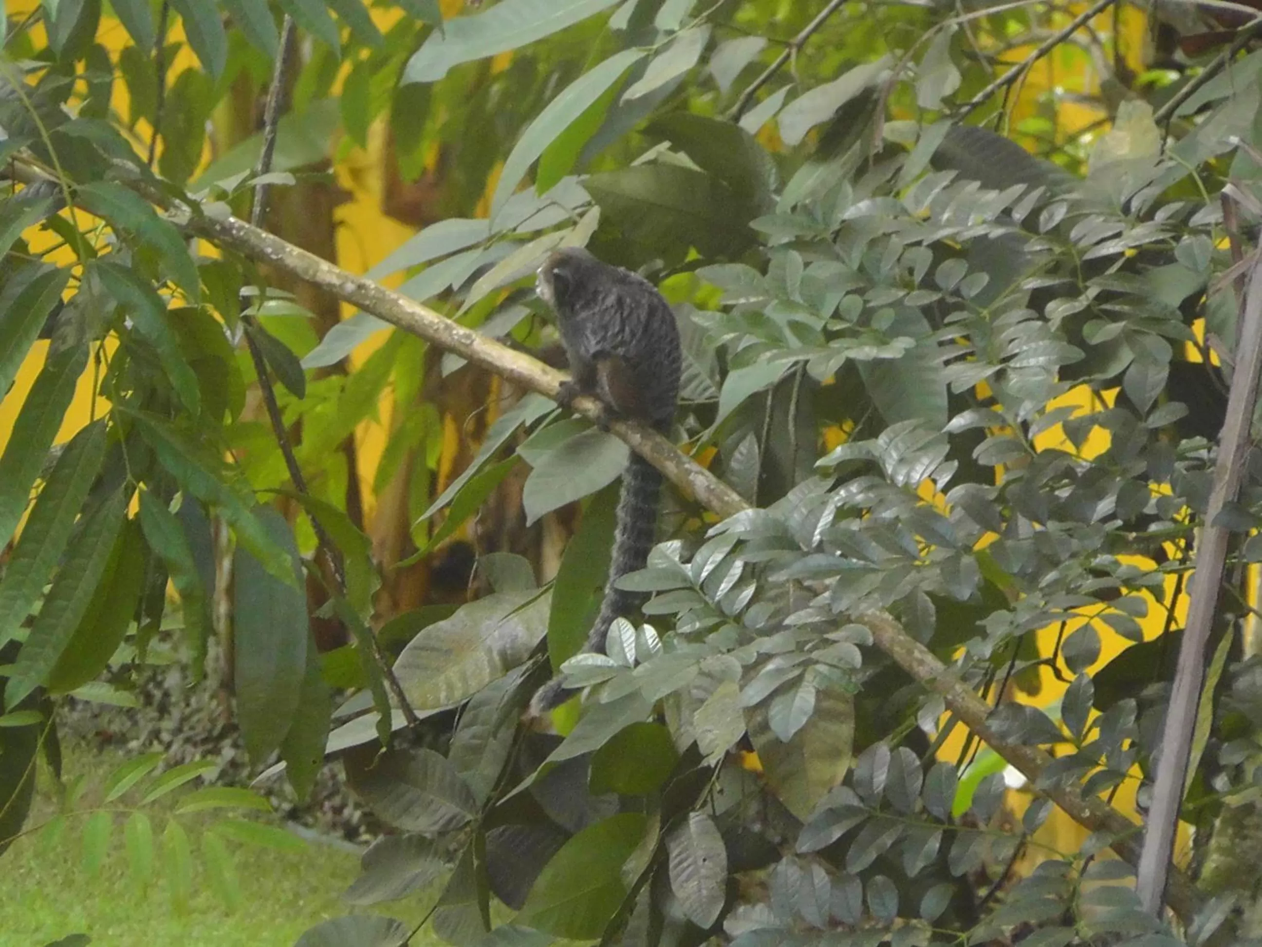 Day in i9 Embaú Flats & Suites