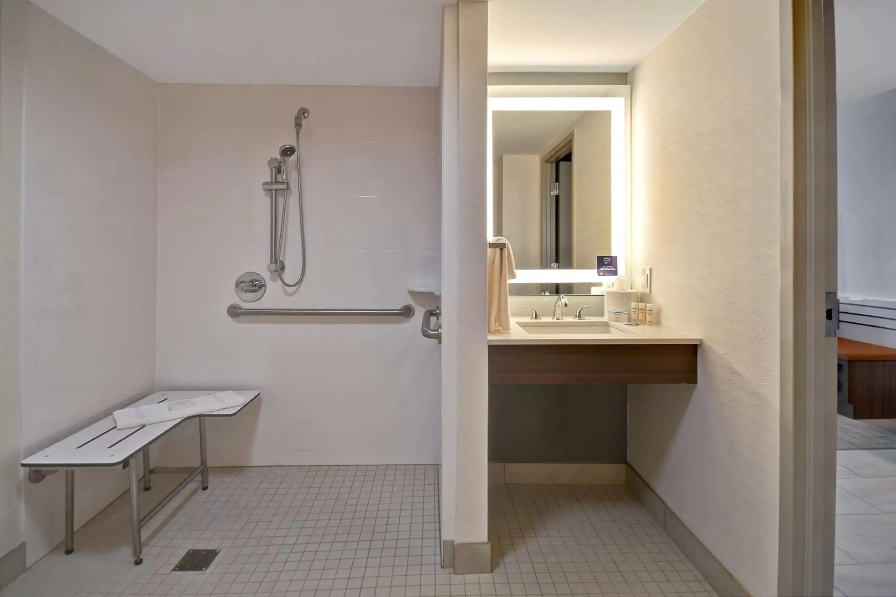 Bathroom in Hilton Garden Inn Detroit Metro Airport