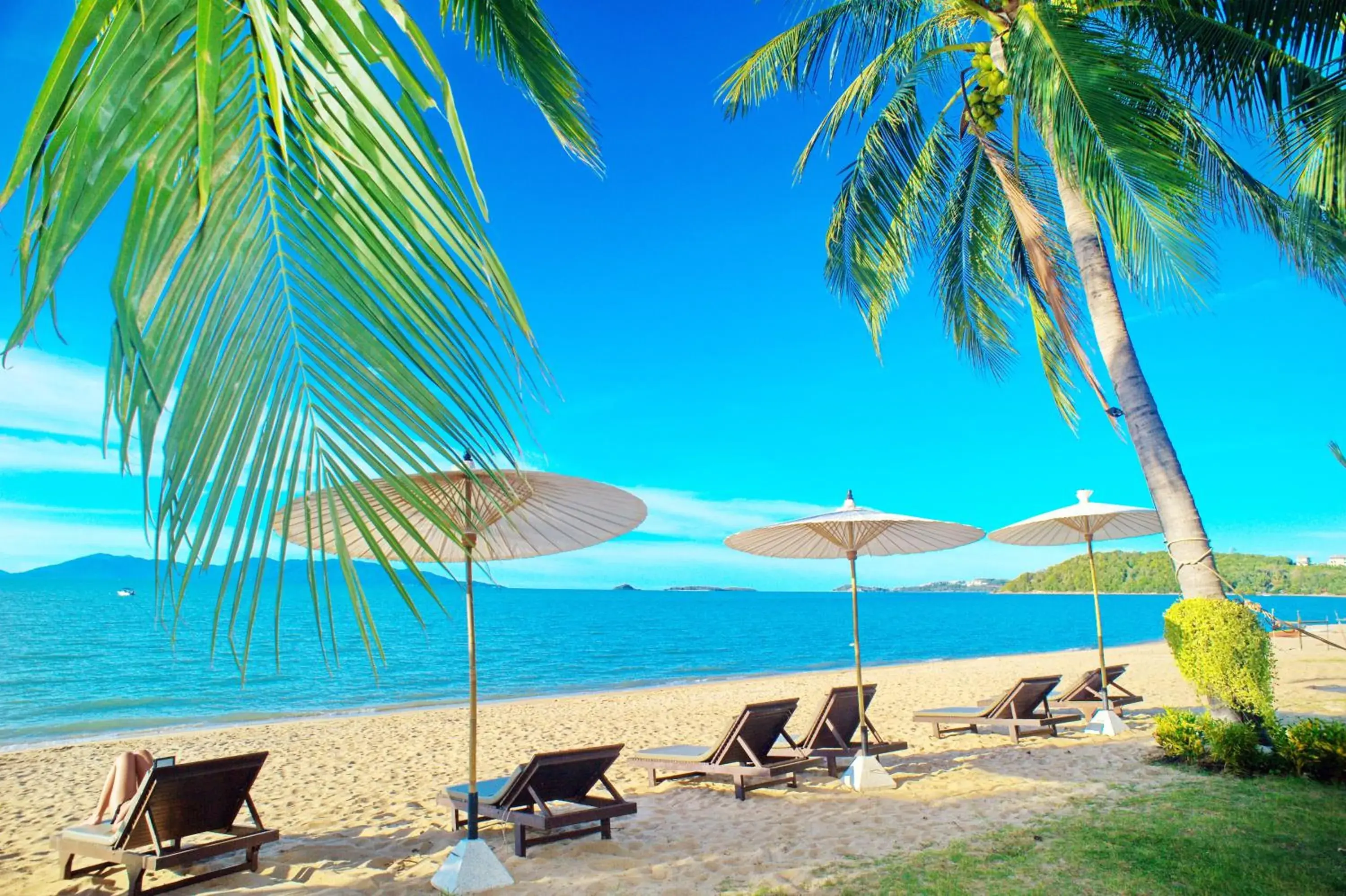 Decorative detail, Beach in Baan Bophut Beach Hotel Samui - SHA Extra Plus