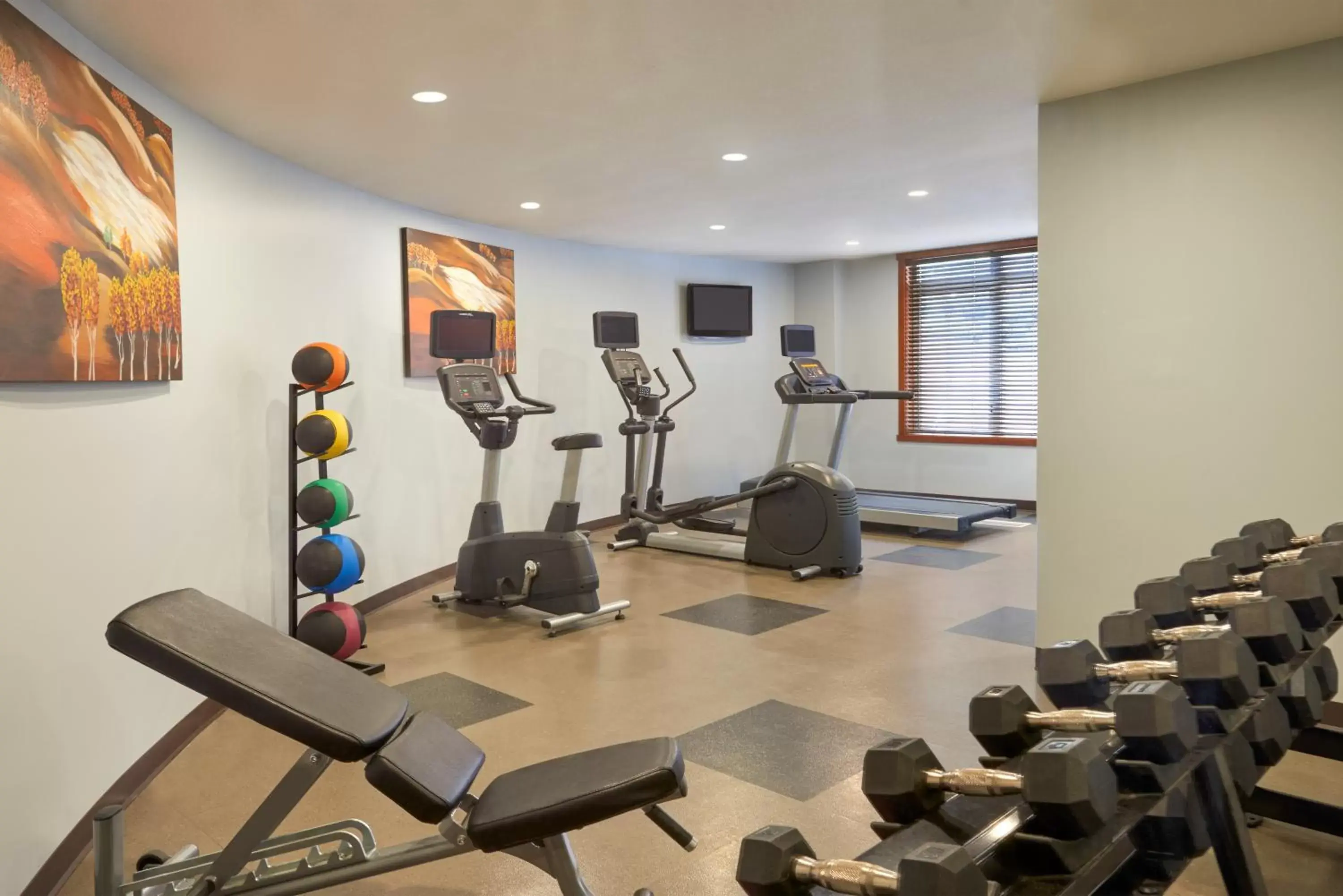 Fitness centre/facilities, Fitness Center/Facilities in Stoneridge Mountain Resort
