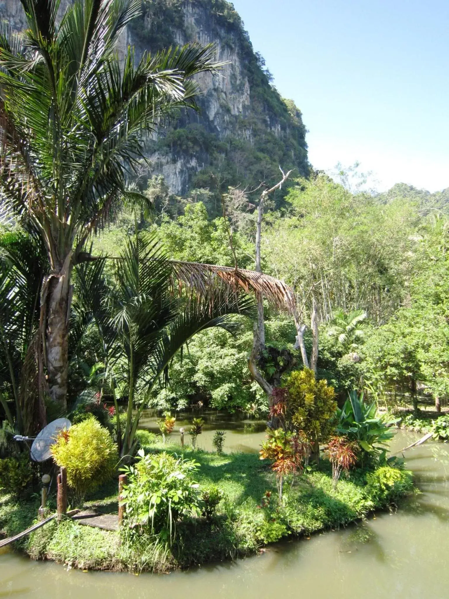 Garden in Phanom Bencha Mountain Resort