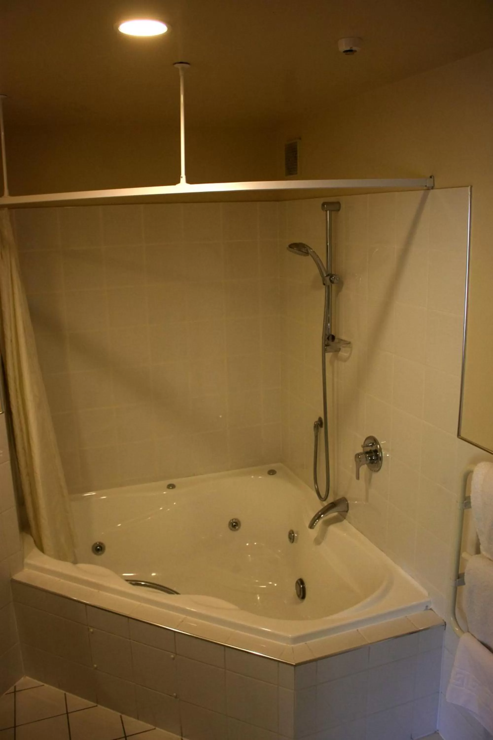 Spa and wellness centre/facilities in Cedar Grove Motor Lodge