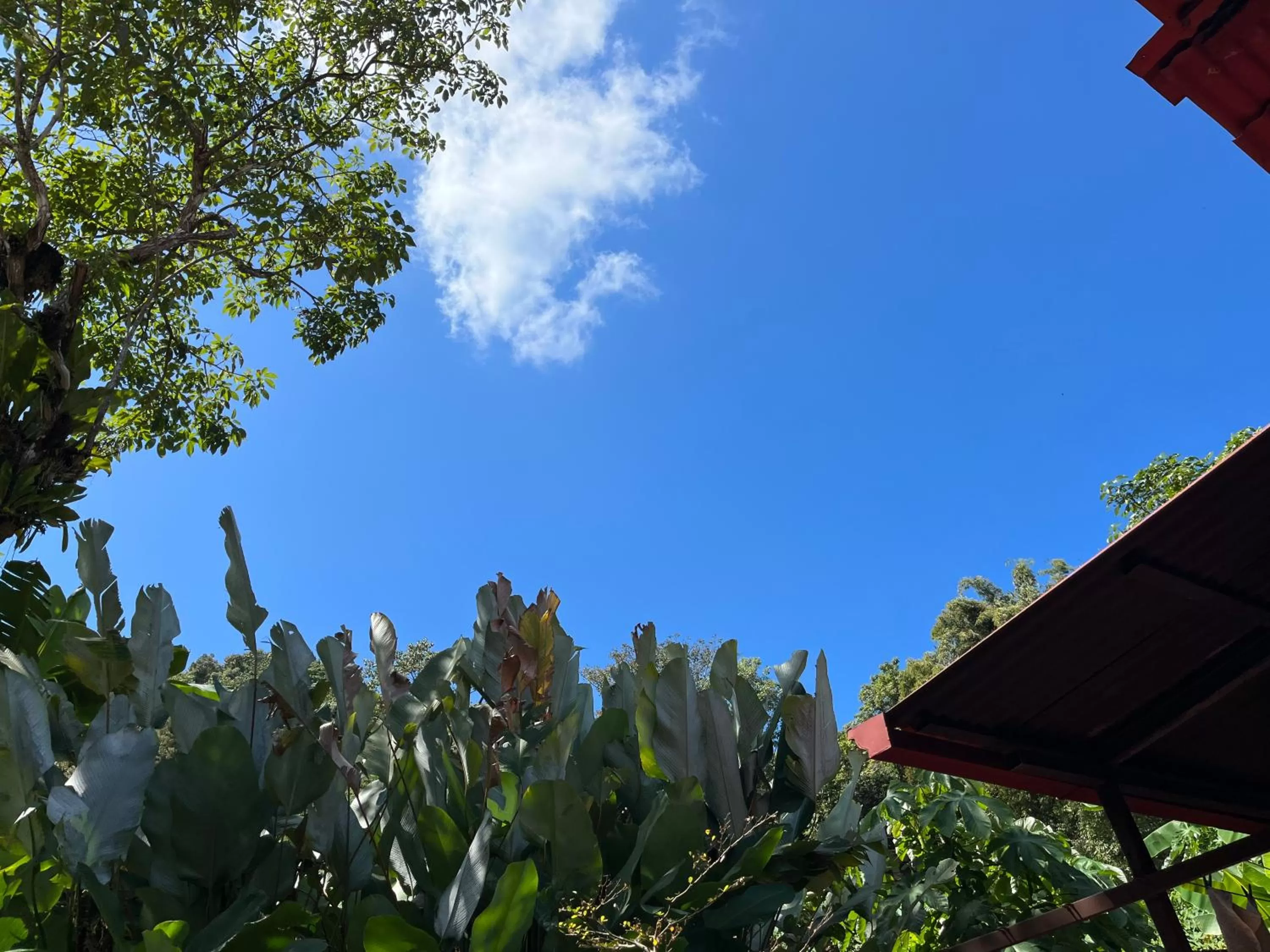 Day in Sunrise House