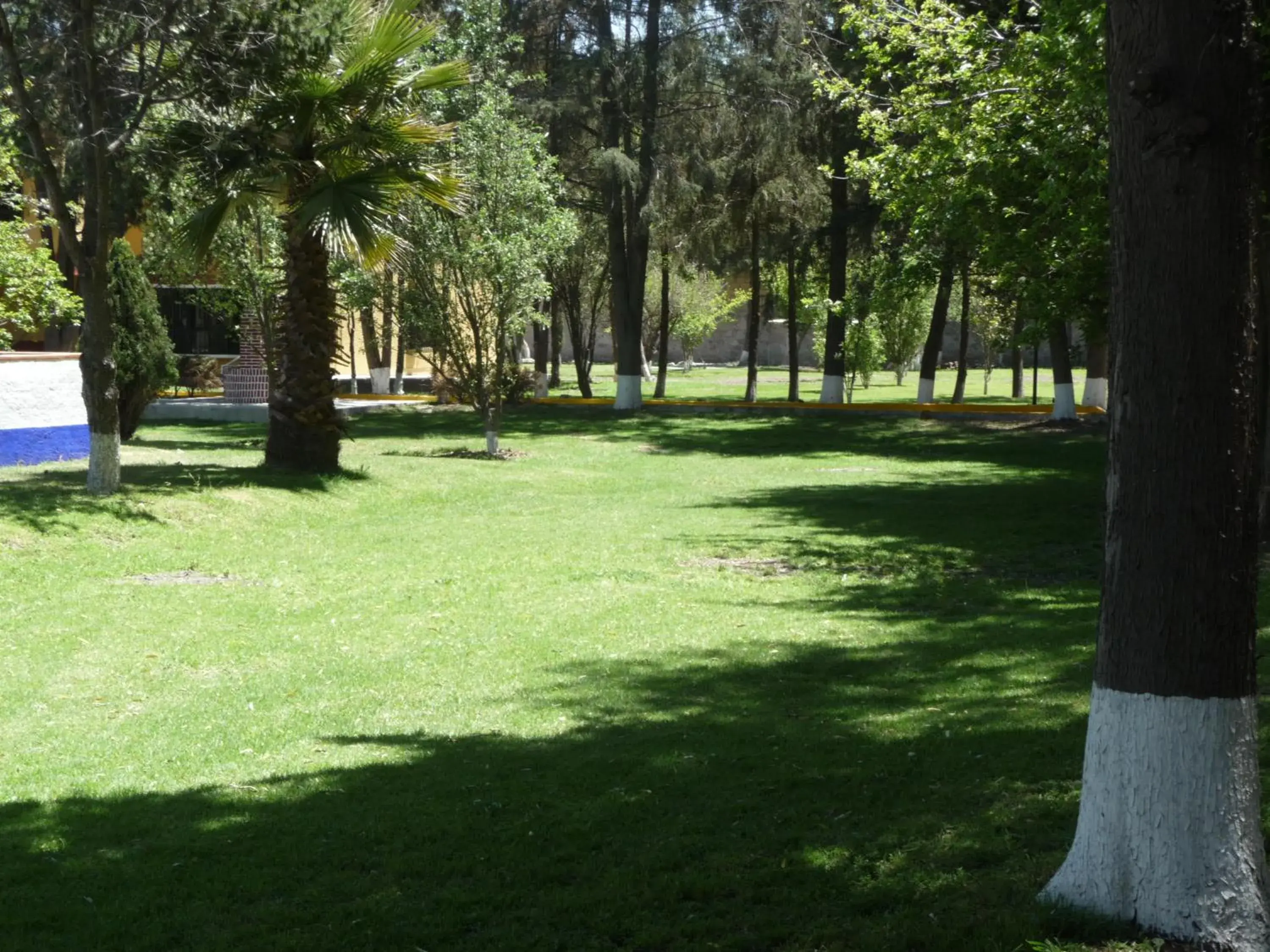 Garden in Hotel Finca Las Hortensias