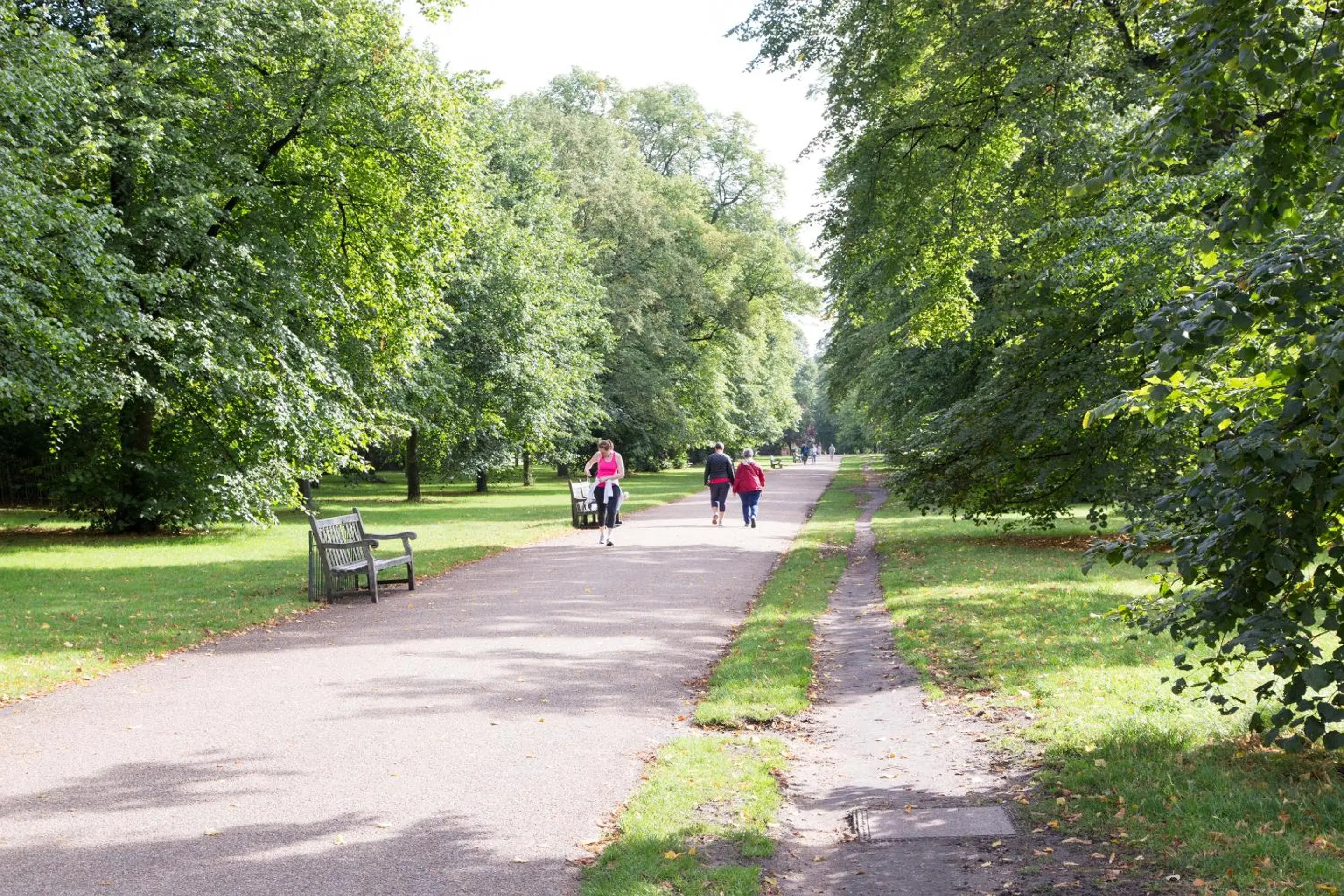Natural landscape, Biking in Thistle London Hyde Park Kensington Gardens