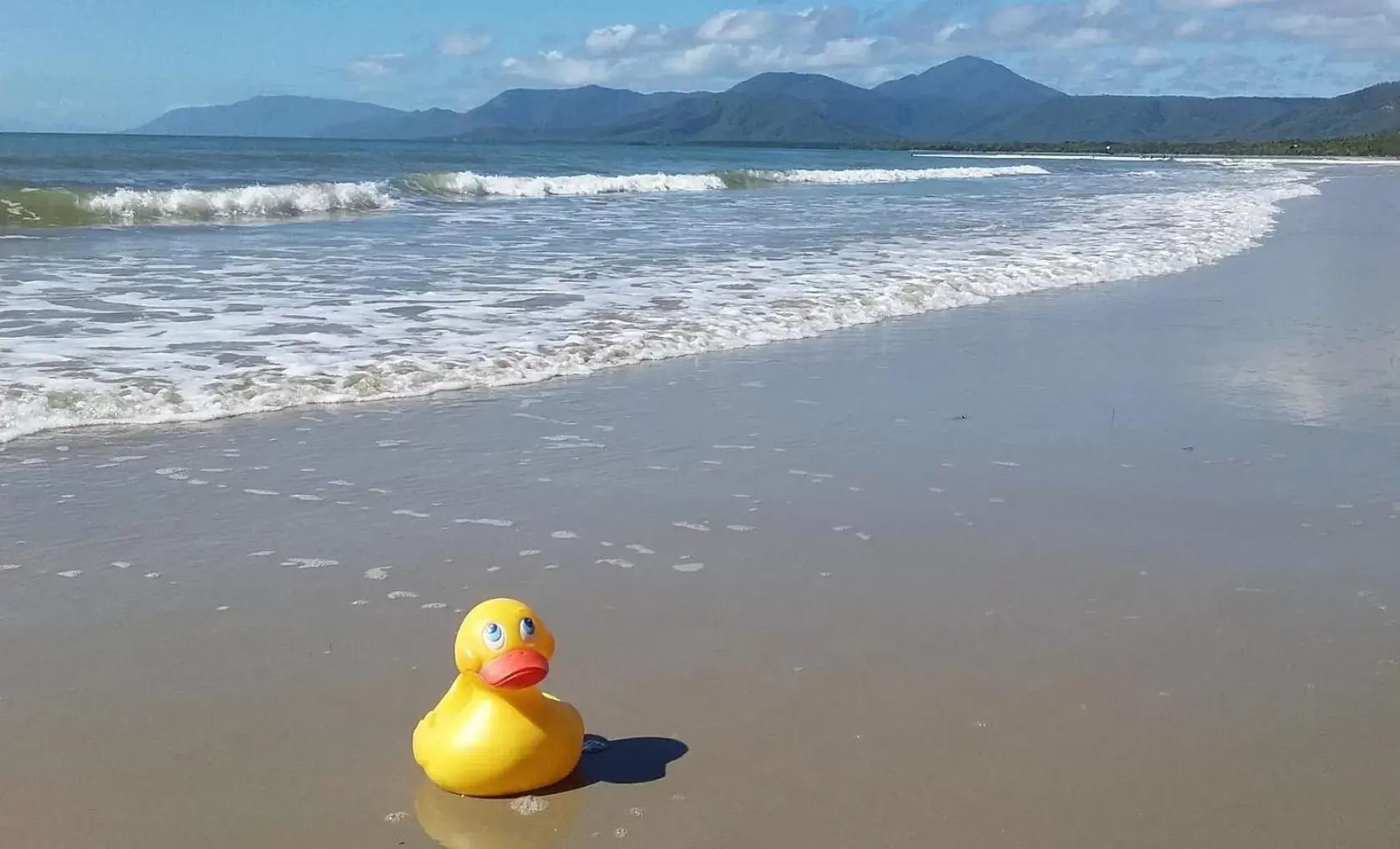 Beach in By The Sea Port Douglas