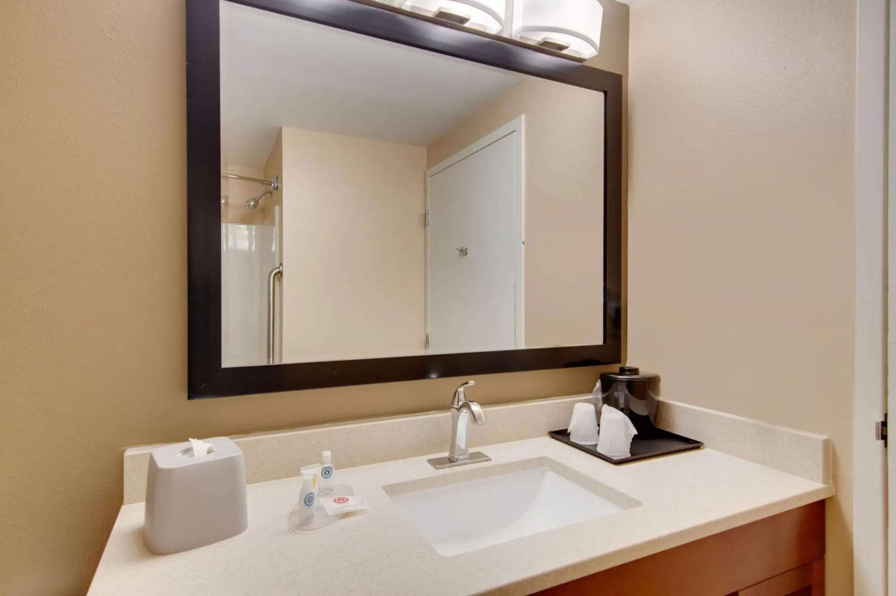 Bathroom in Comfort Inn Airport Roanoke