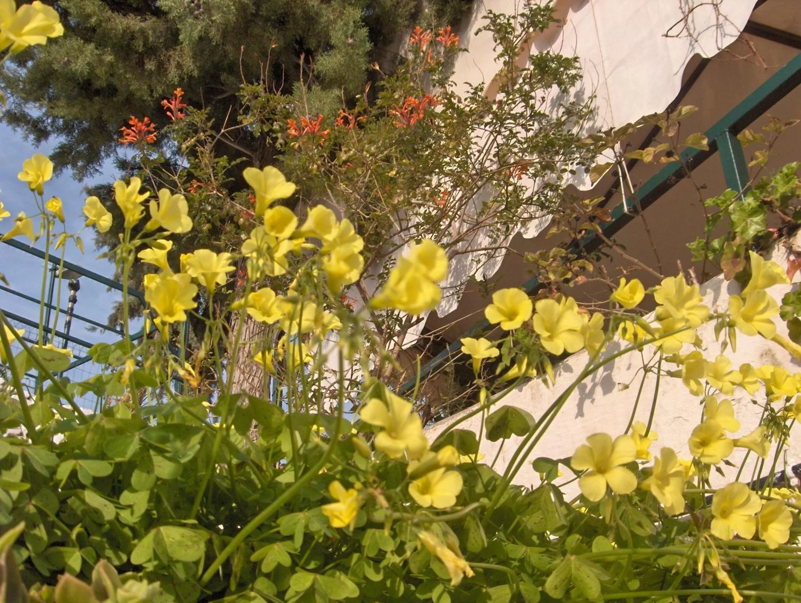 Day in Pensione San Michele