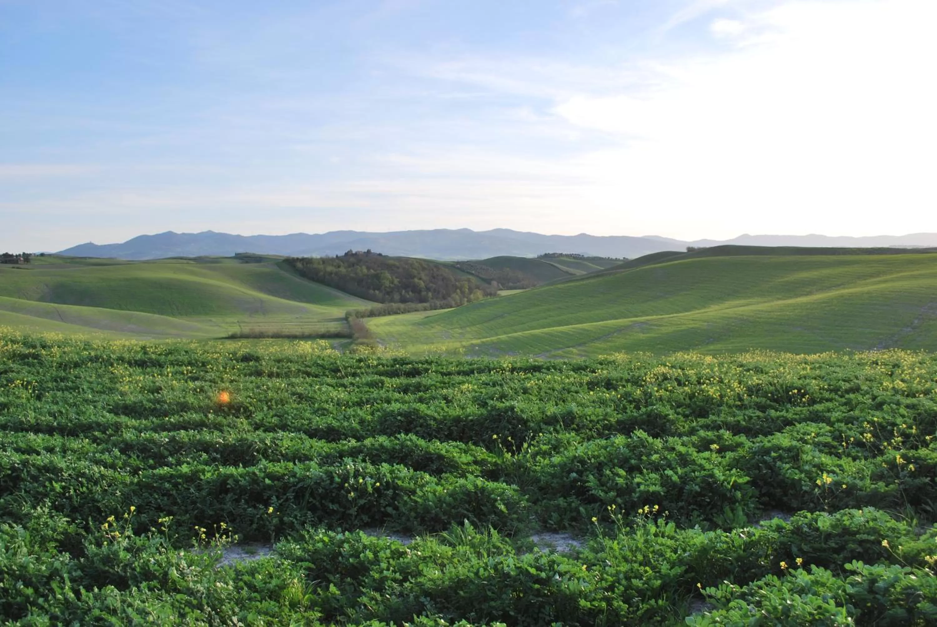 Spring in A Casa di Lizzy B&B