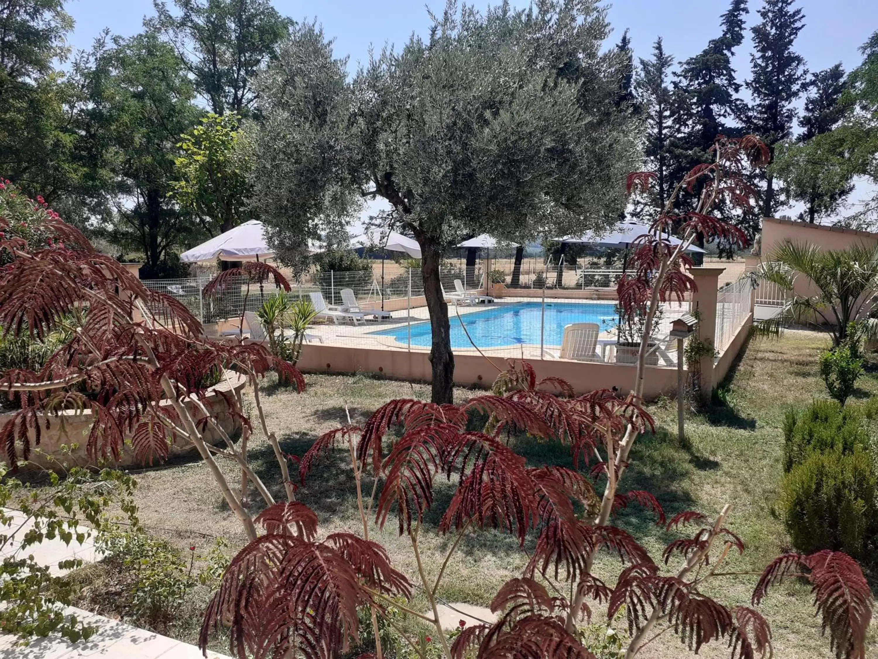 Swimming Pool in B&B et Gite d'ayran