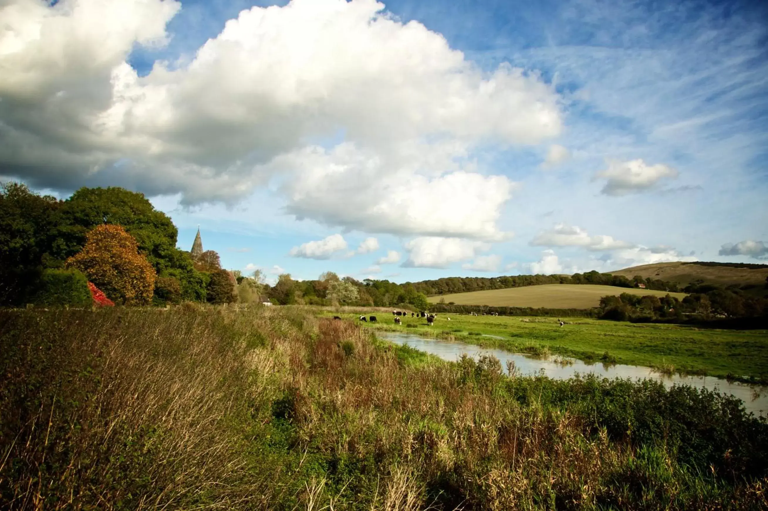 Neighbourhood, Natural Landscape in Deans Place Hotel