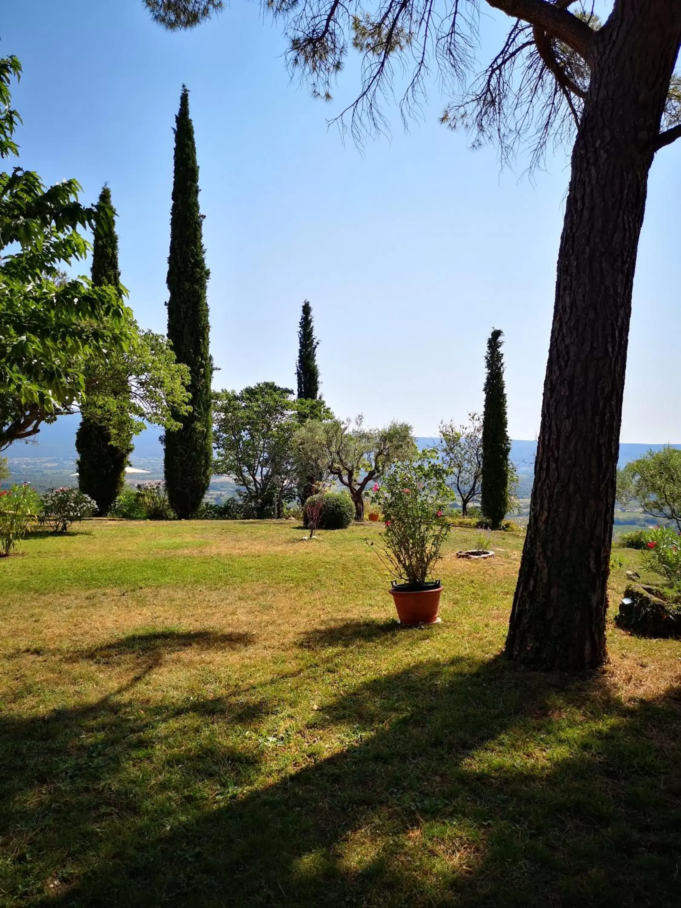 Garden in La Bastide du Limon