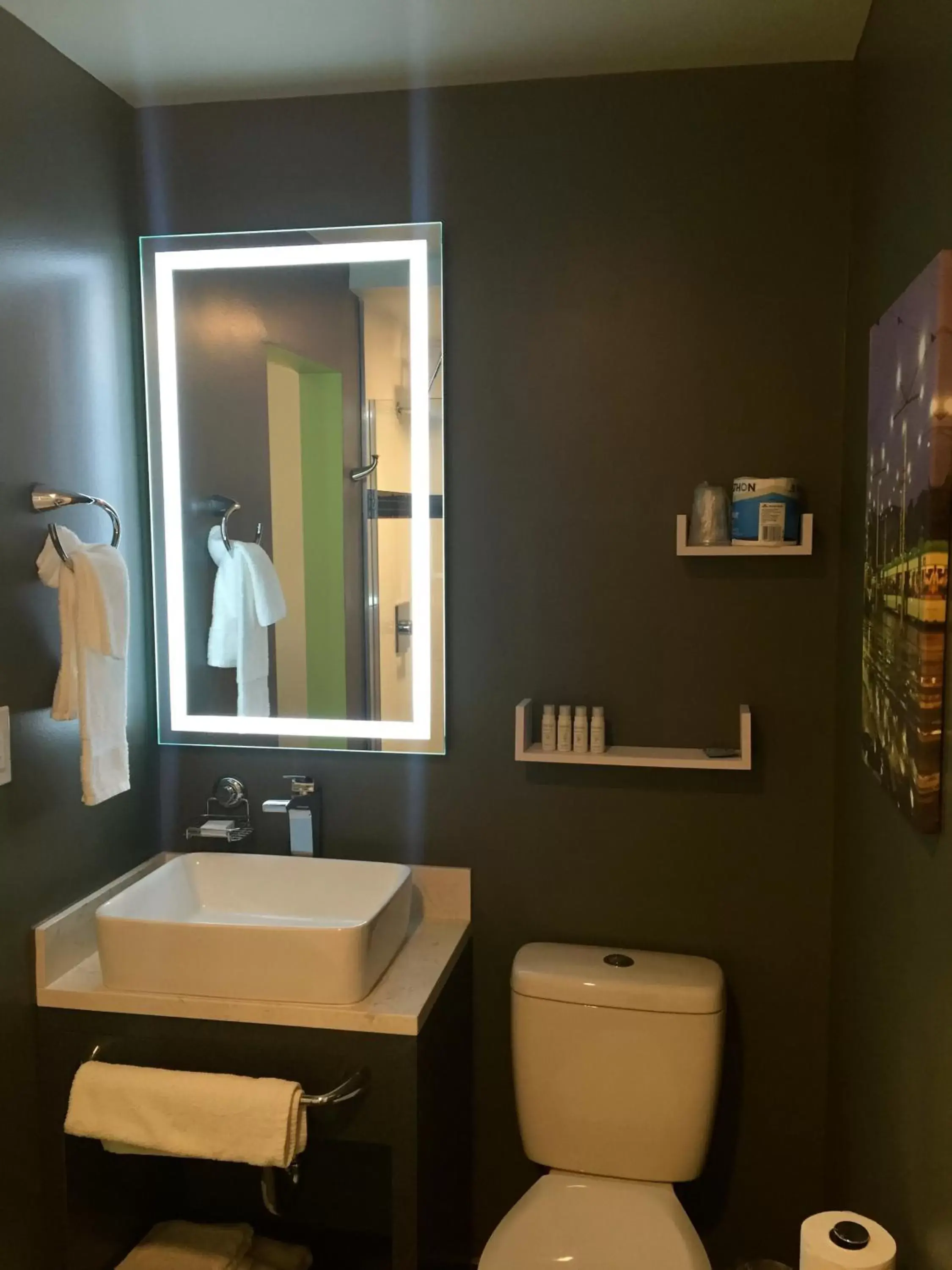 Bathroom in University Inn ASU/Tempe