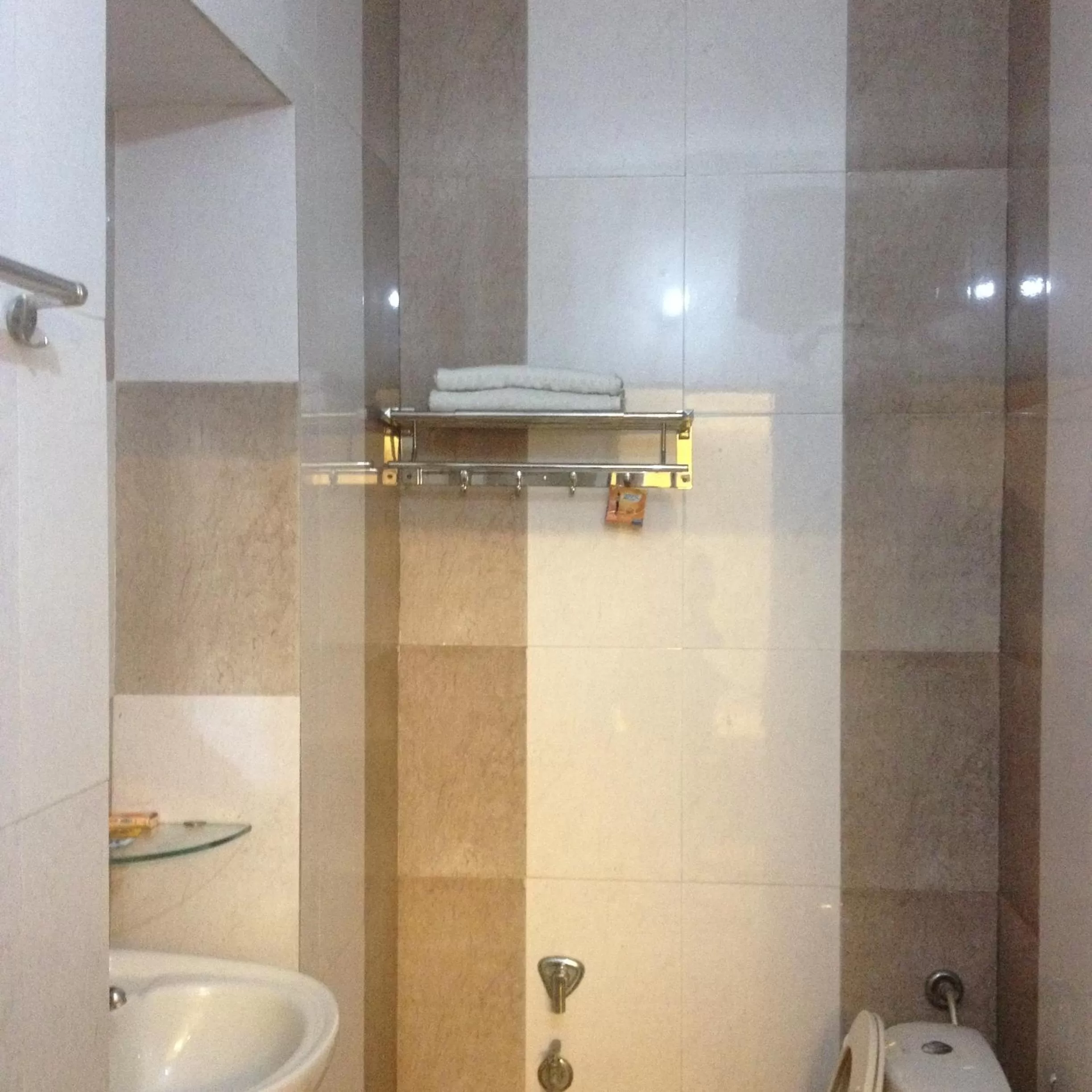 Bathroom in Hotel Shree