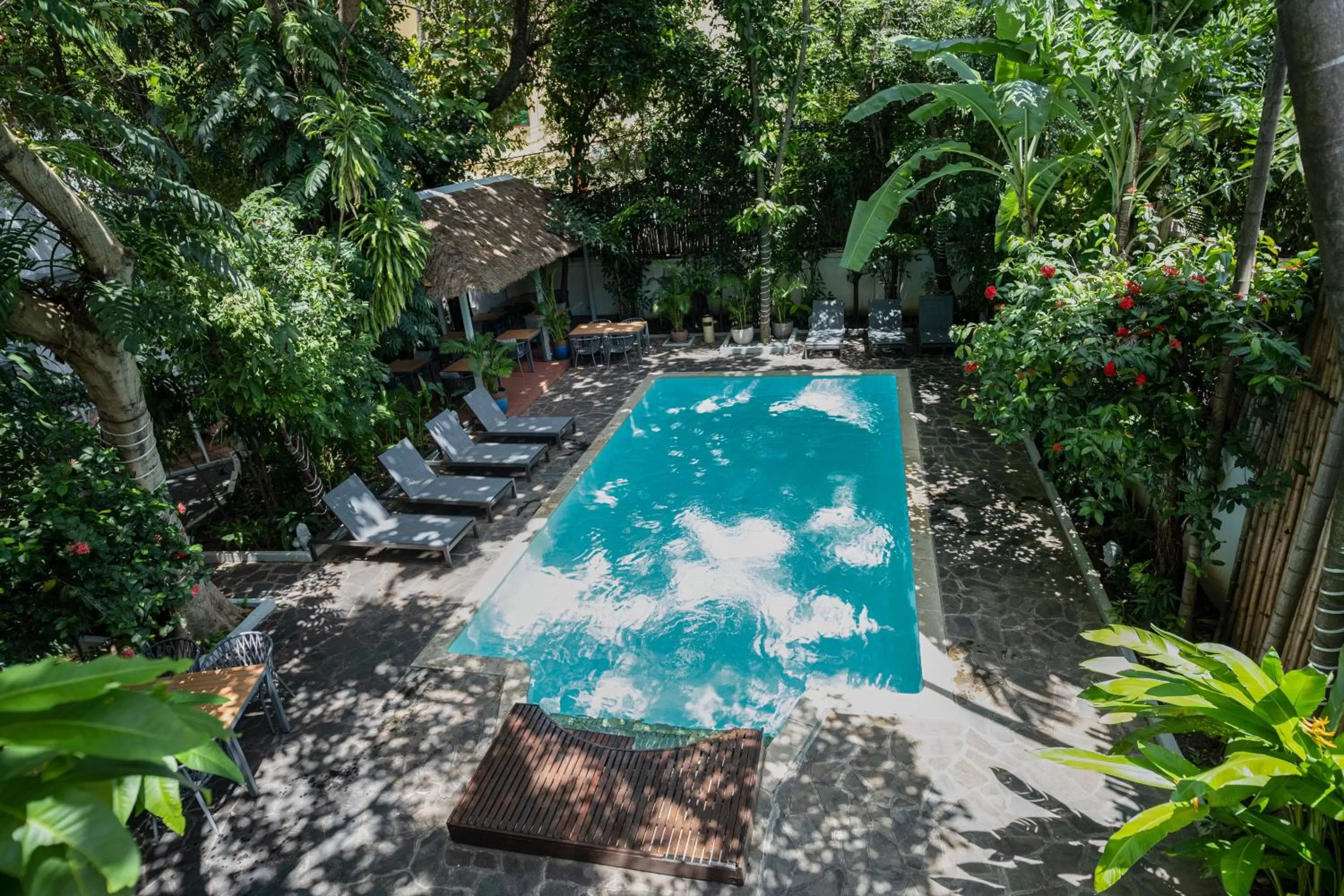 Swimming pool in Jungle Addition