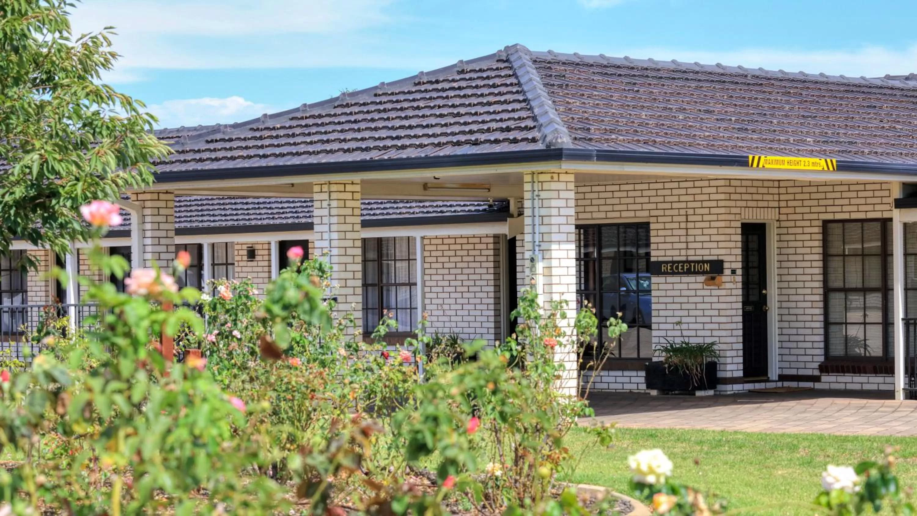 Day in Southern Comfort Motor Inn