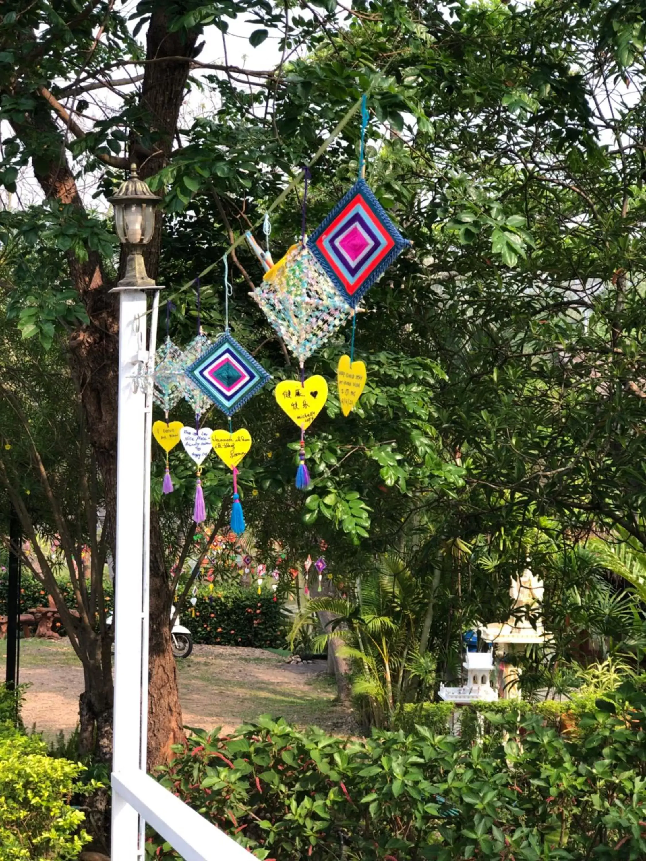 Natural landscape in Pura Vida Pai Resort