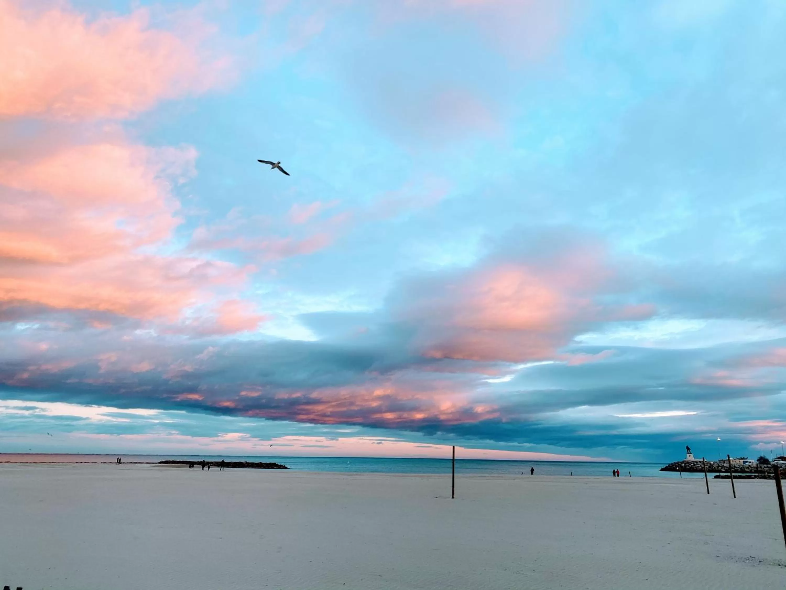 Natural landscape in Brasilia Hôtel
