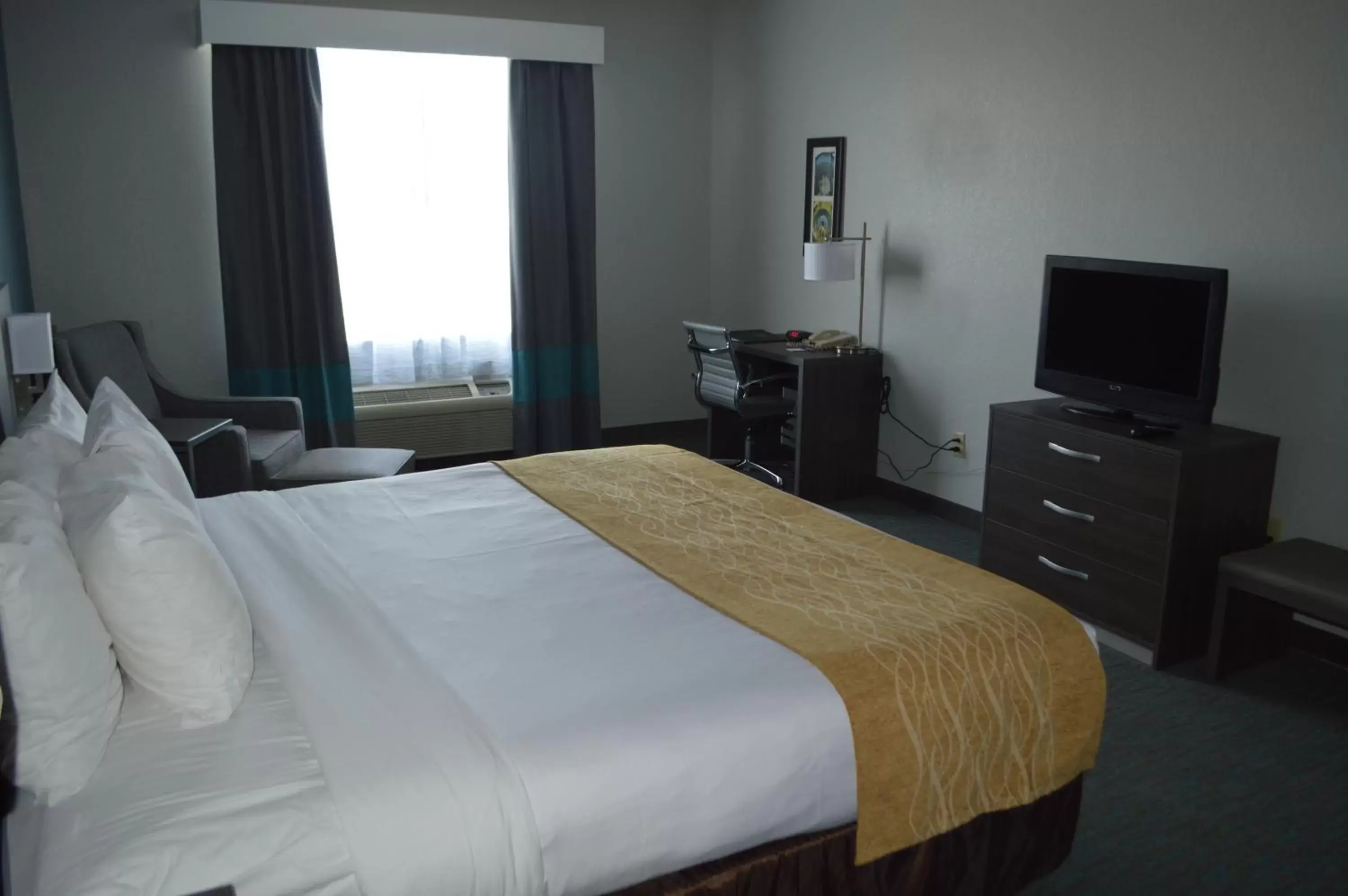 King Room with Roll-In Shower - Accessible/Non-Smoking in Comfort Inn & Suites Selma near Randolph AFB King Room with Roll-In Shower - Accessible/Non-Smoking in Comfort Inn & Suites Selma near Randolph AFB