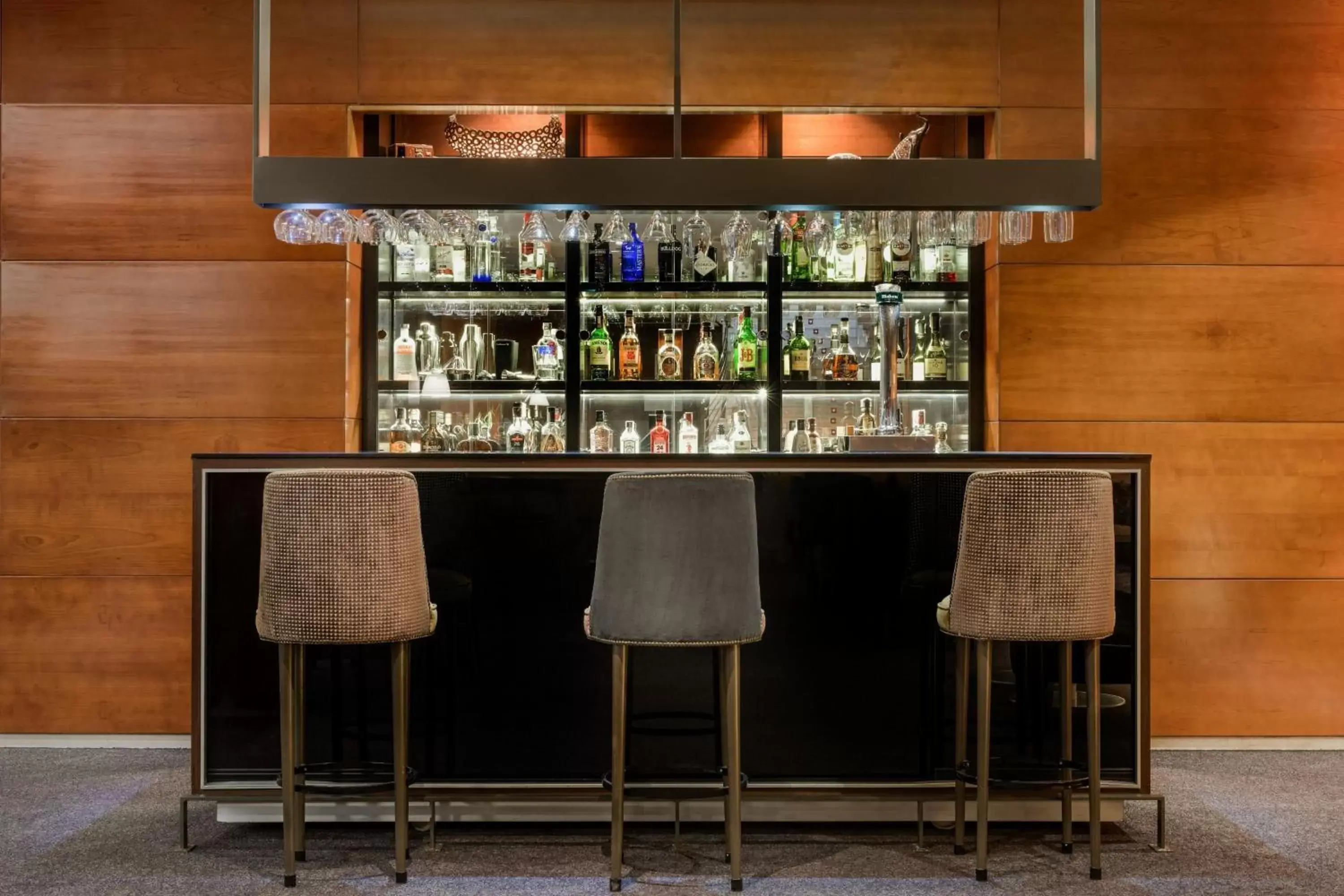 Lounge or bar in AC Hotel León San Antonio by Marriott