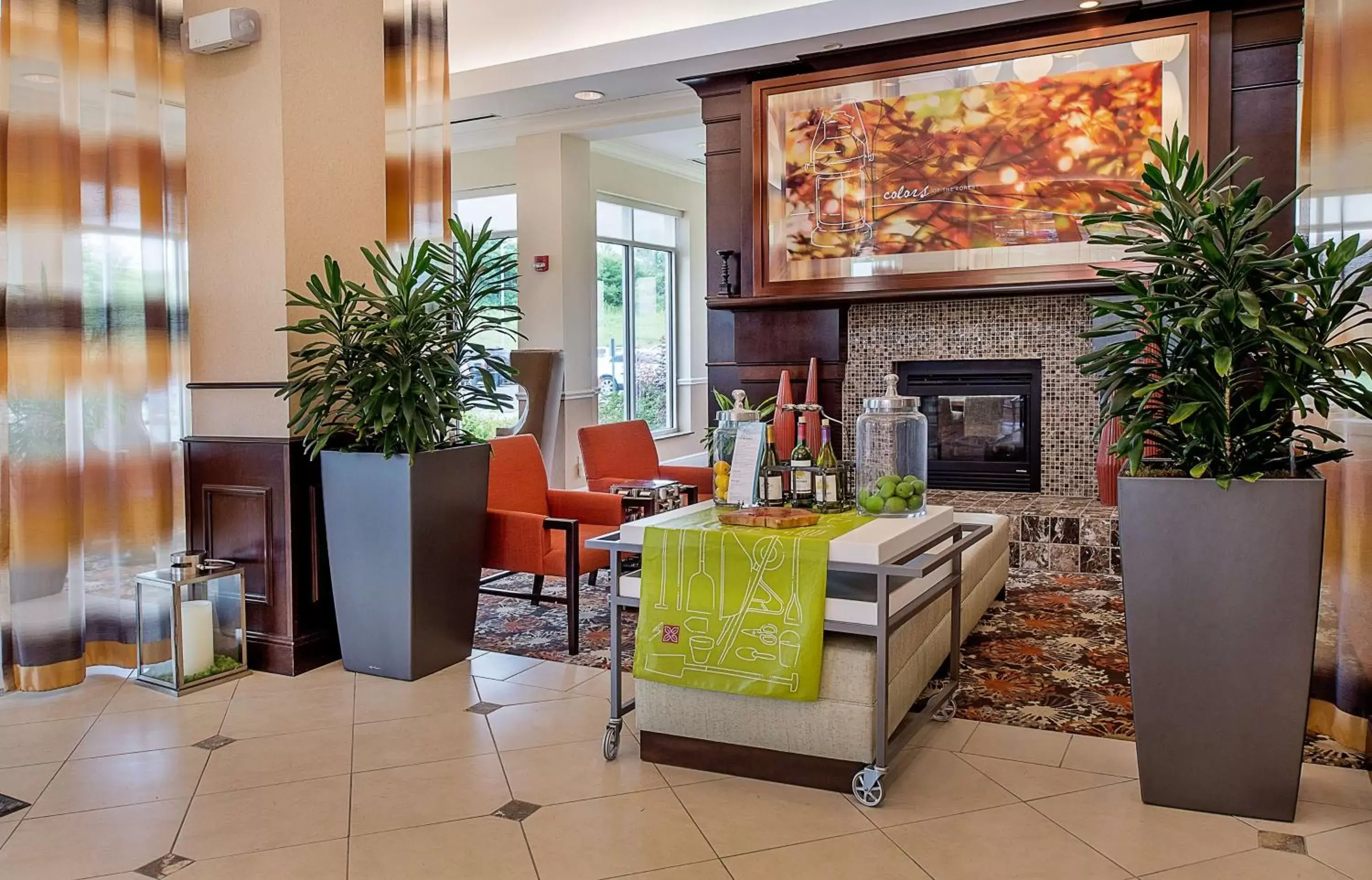 Lobby or reception in Hilton Garden Inn St. Louis Airport