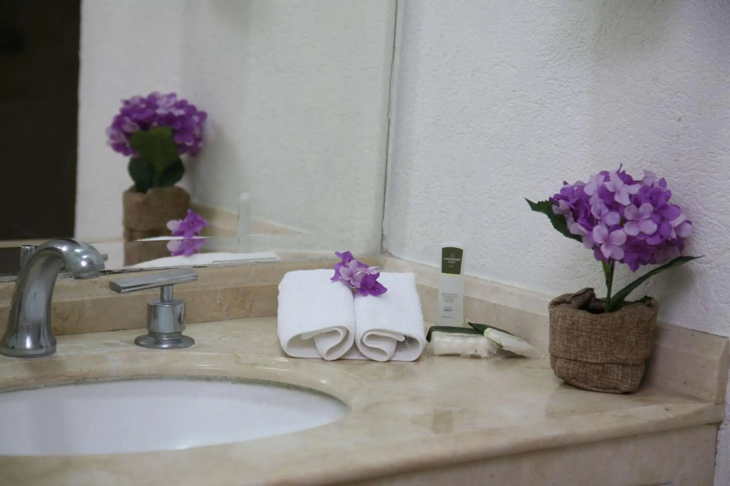 Decorative detail, Bathroom in Hotel Poza Rica Centro